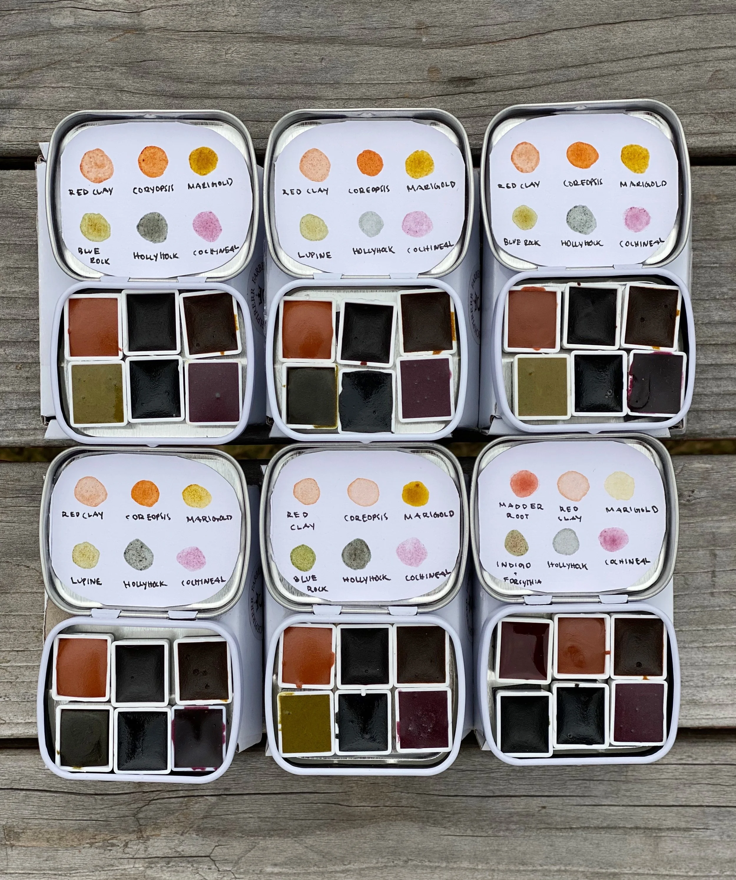 Botanical Watercolor sets made during Botanical Watercolors Workshop (Copy)