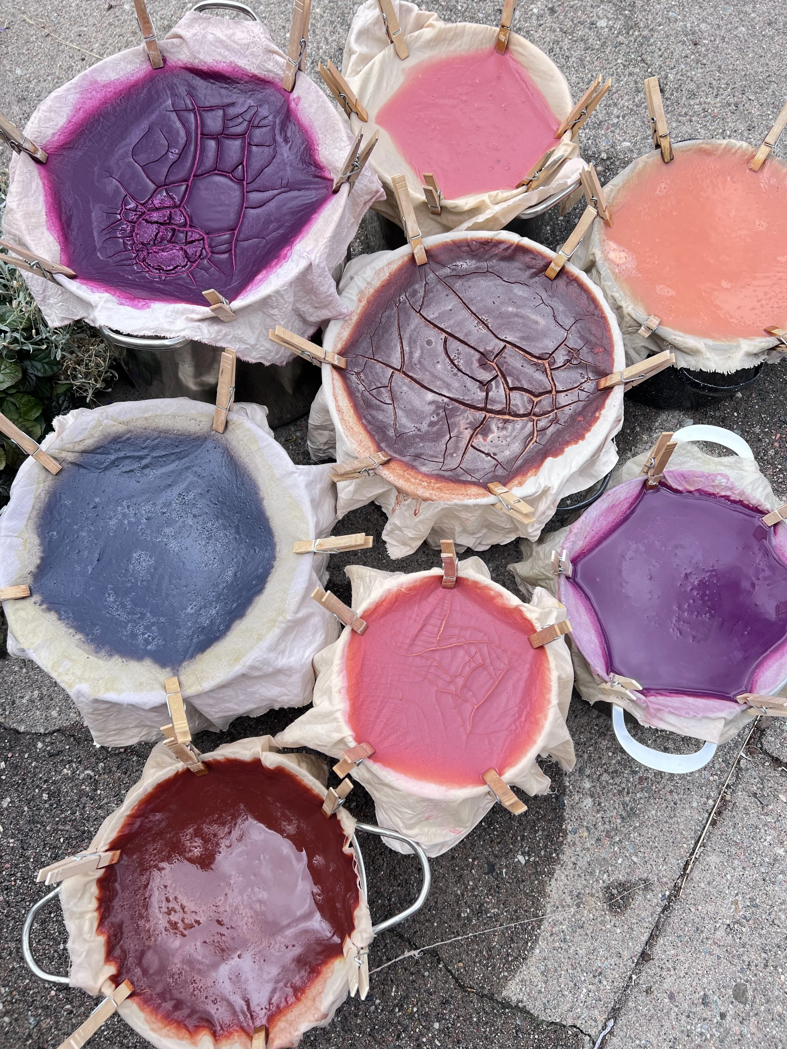 Pigment drying during Botanical Watercolor Art Class experience Santa Fe, NM (Copy)
