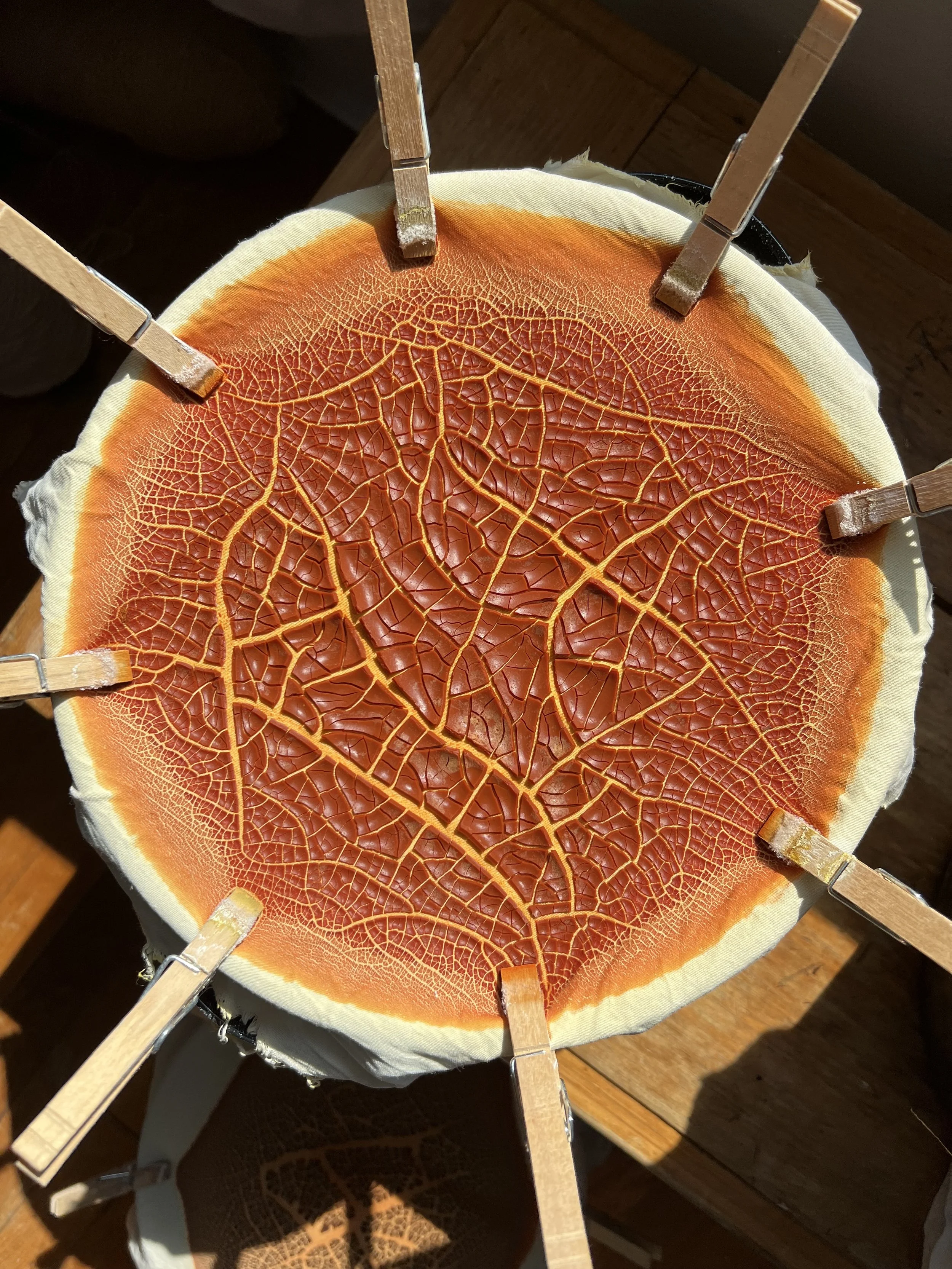 Pigment made from flowers, drying (Copy)