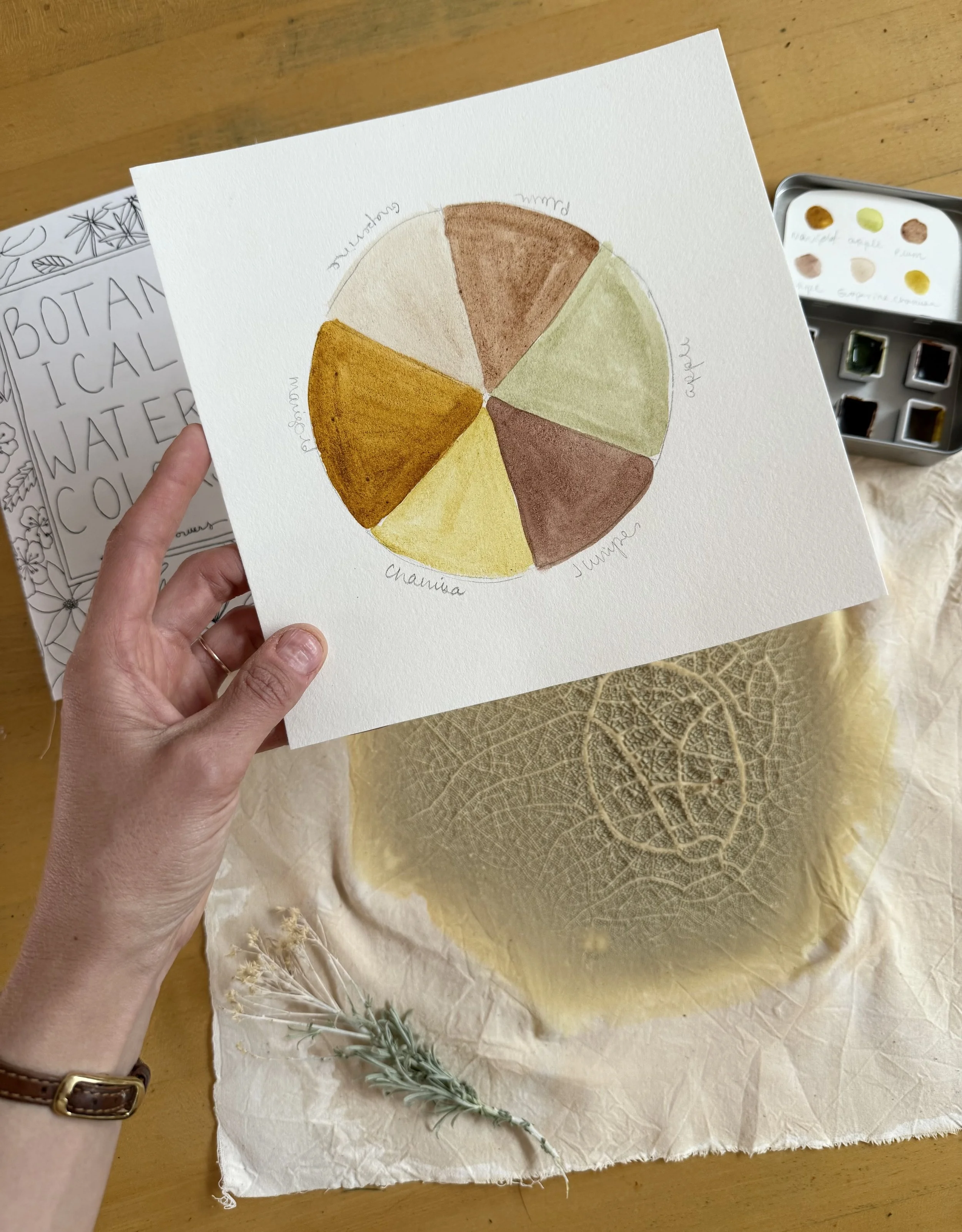 Local colors made from plants in Botanical Watercolors class (Copy)