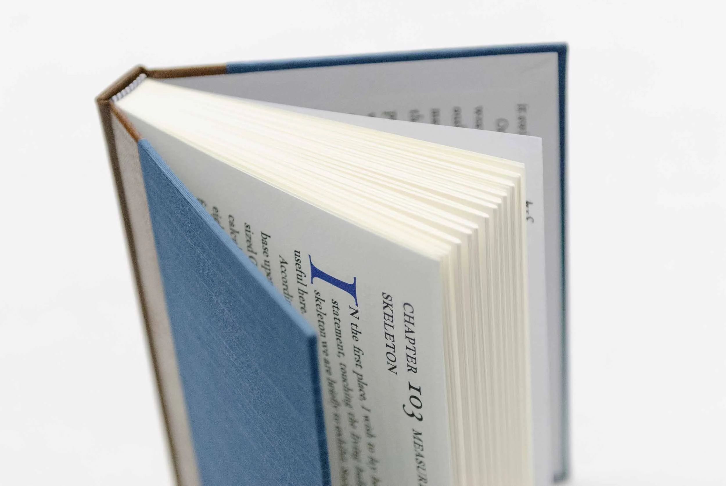 Copy of Classic (design 1, Moby-Dick)