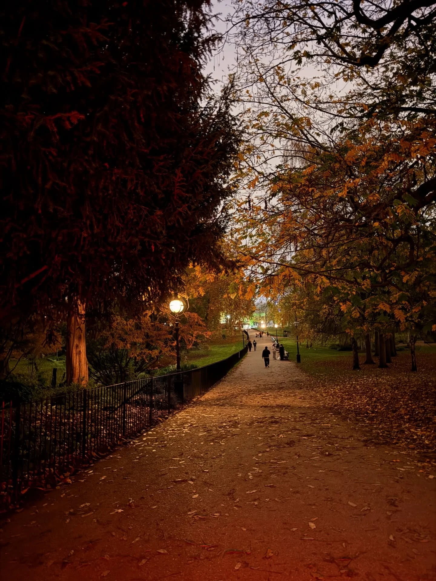 November delivered in full colour 🍂✨
Autumn&rsquo;s richest palettes, a glowing whirl through Light 25, a Hackney interiors fix, and a brilliant afternoon at HIX, hallway makeover in Walthamstow, kicking off some juicy projects both commercial &amp;