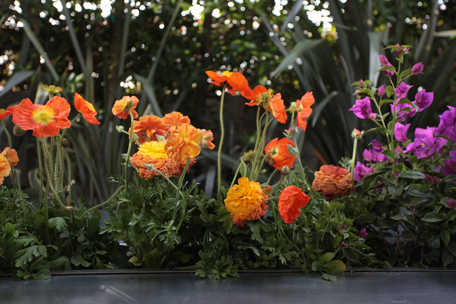 Simple Summer Dinner