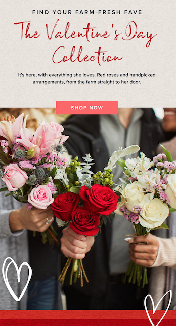 Screen Shot 2019-02-06 at 3.23.59 PM.png