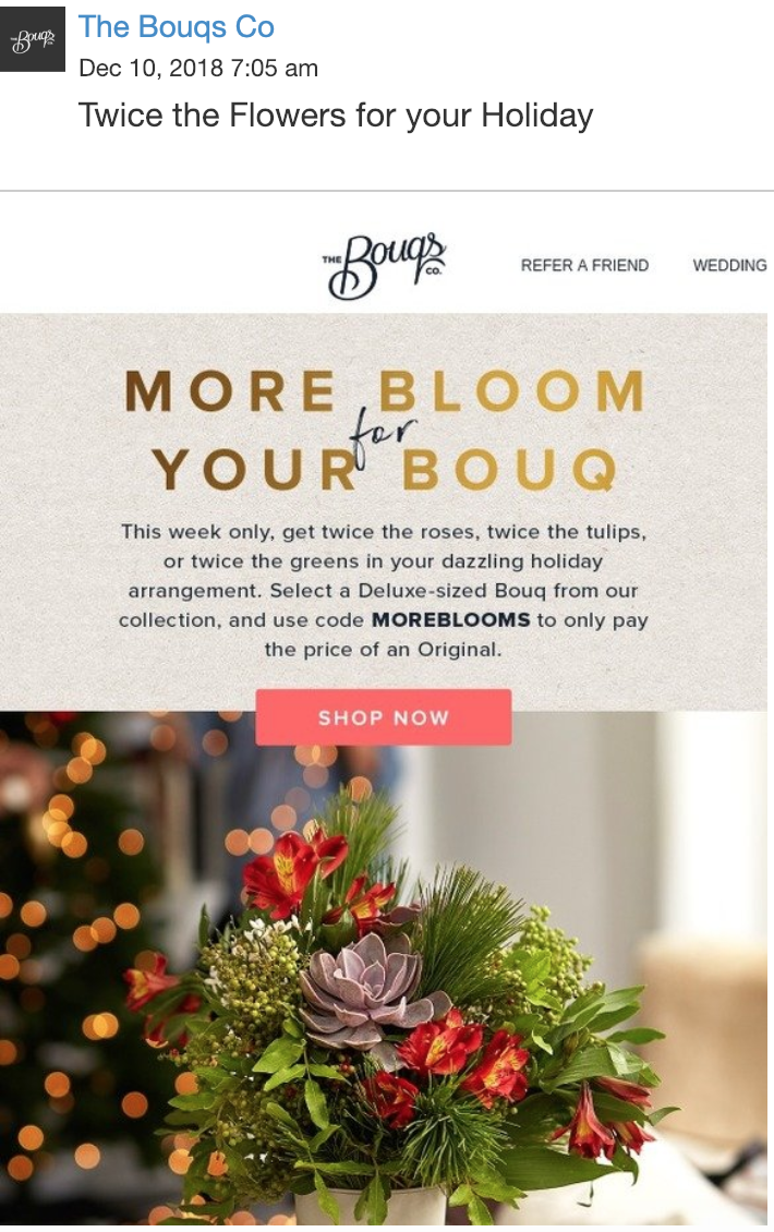 Screen Shot 2019-01-02 at 4.06.17 PM.png