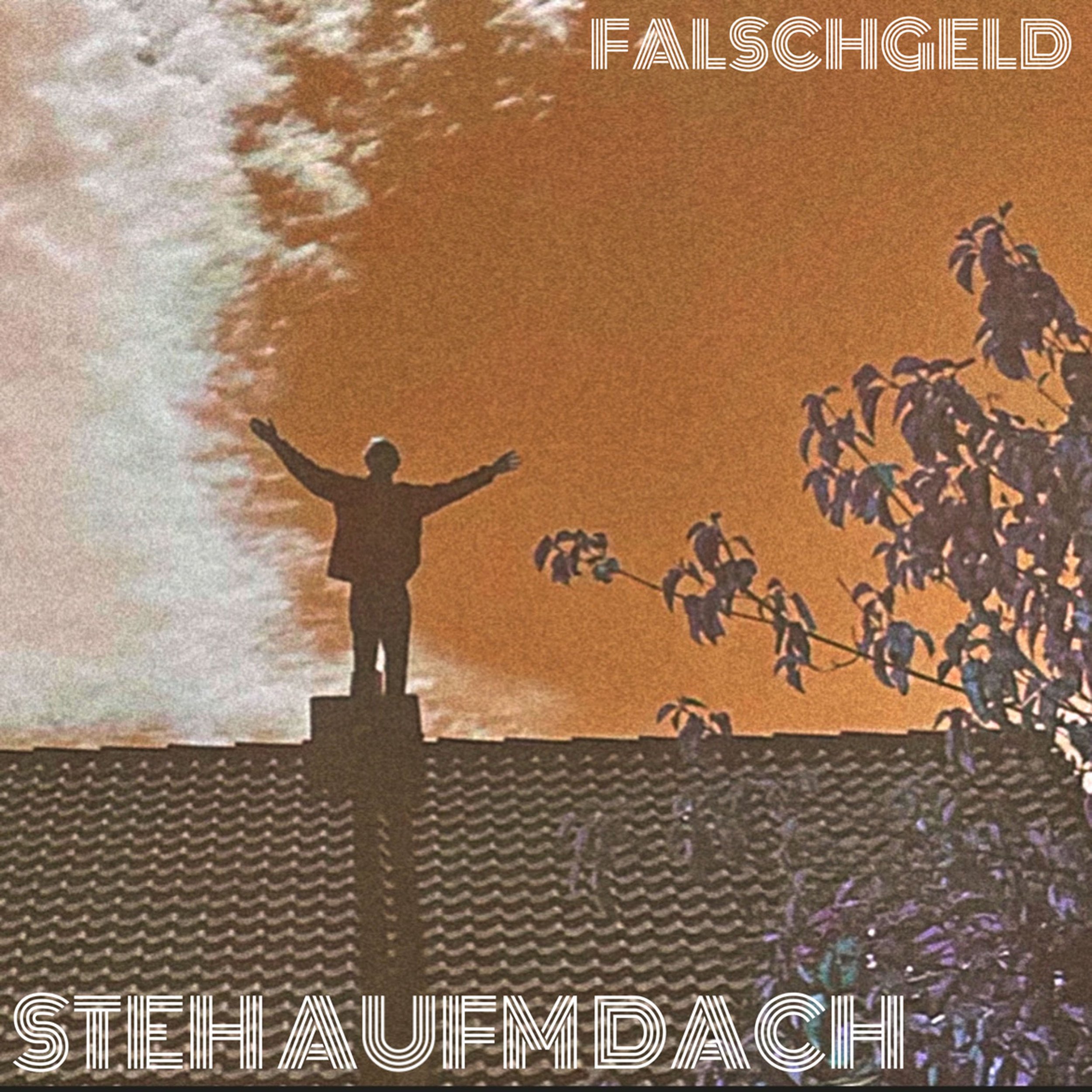 2023 - FALSCHGELD - Steh aufm Dach (single)