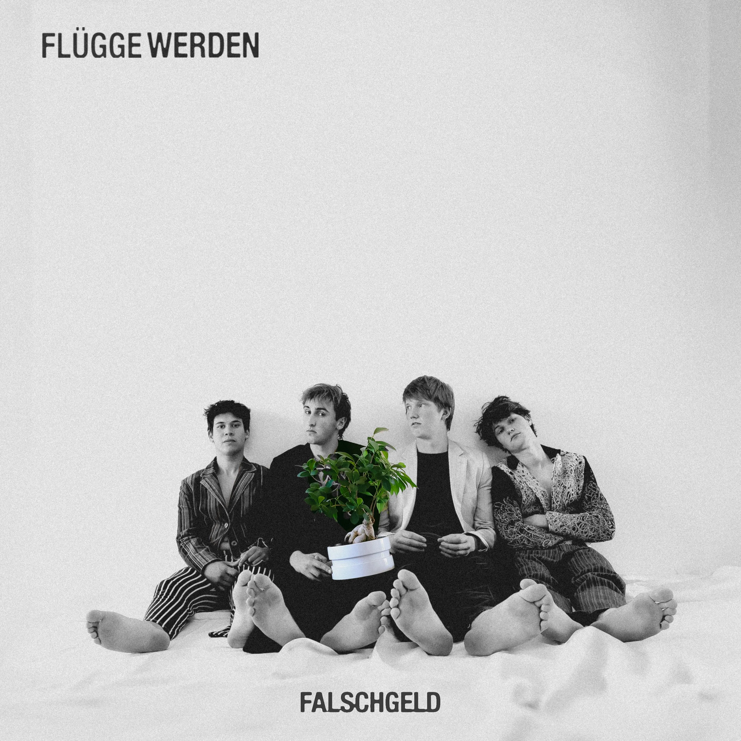 2026 - FALSCHGELD - Flügge Werden (Album)