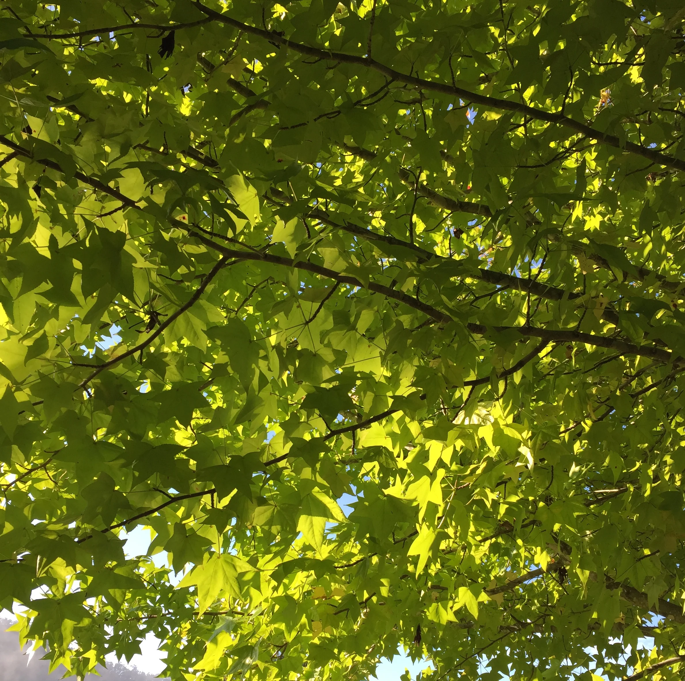 Love helps protect you against depression