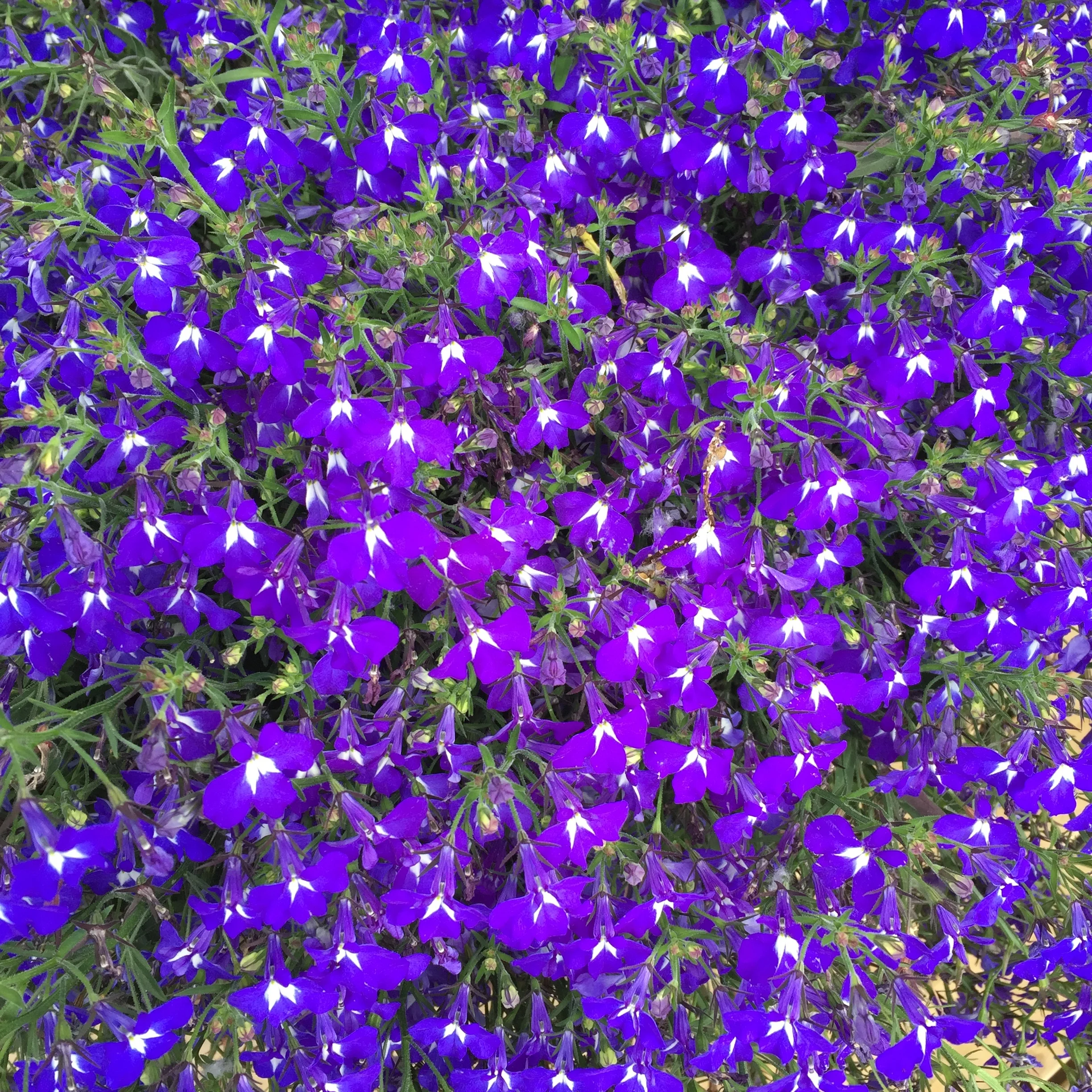 Values: Am I living the way I want to? 