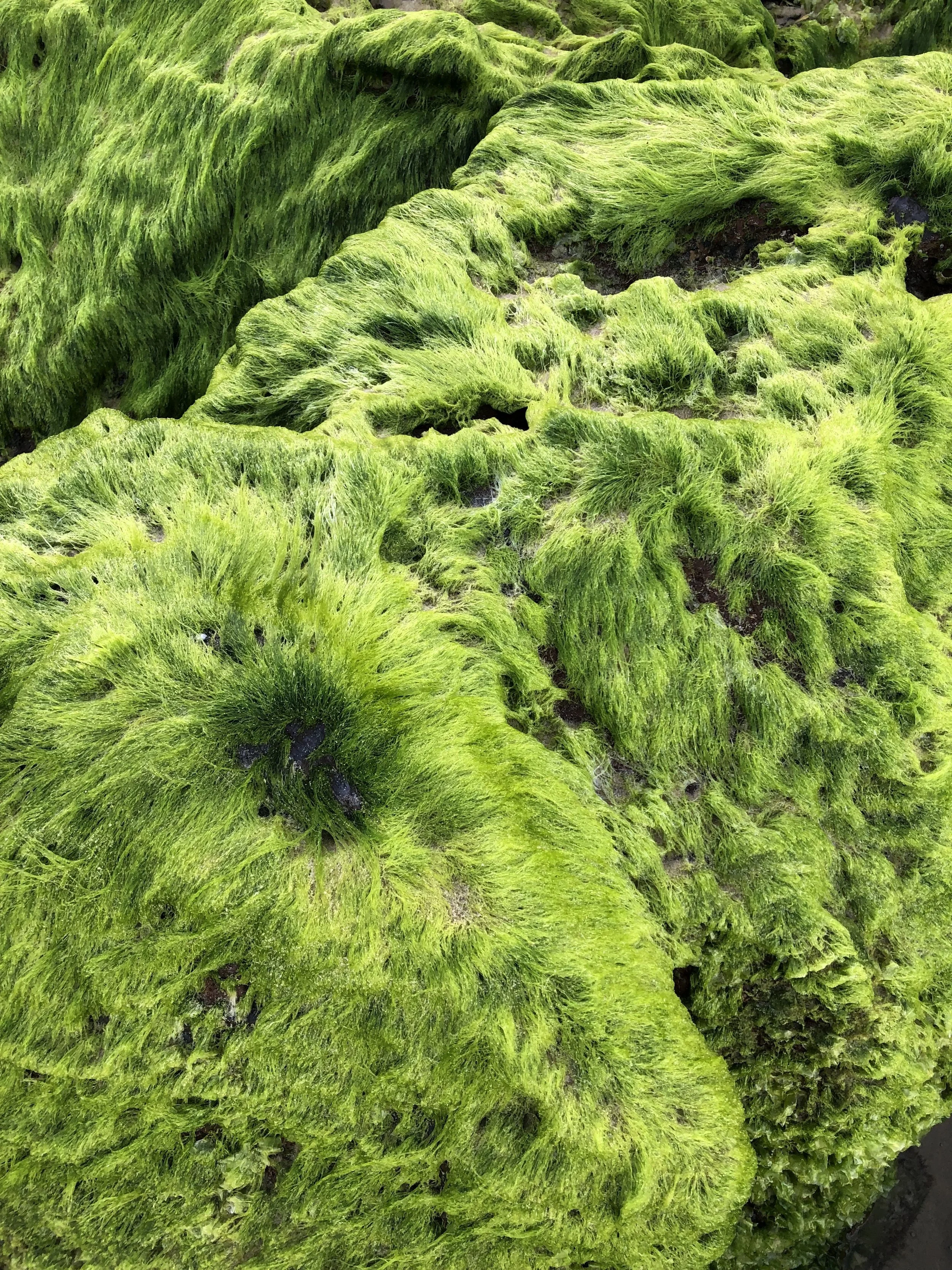 5 Tips for an Anxiety-Free Diet