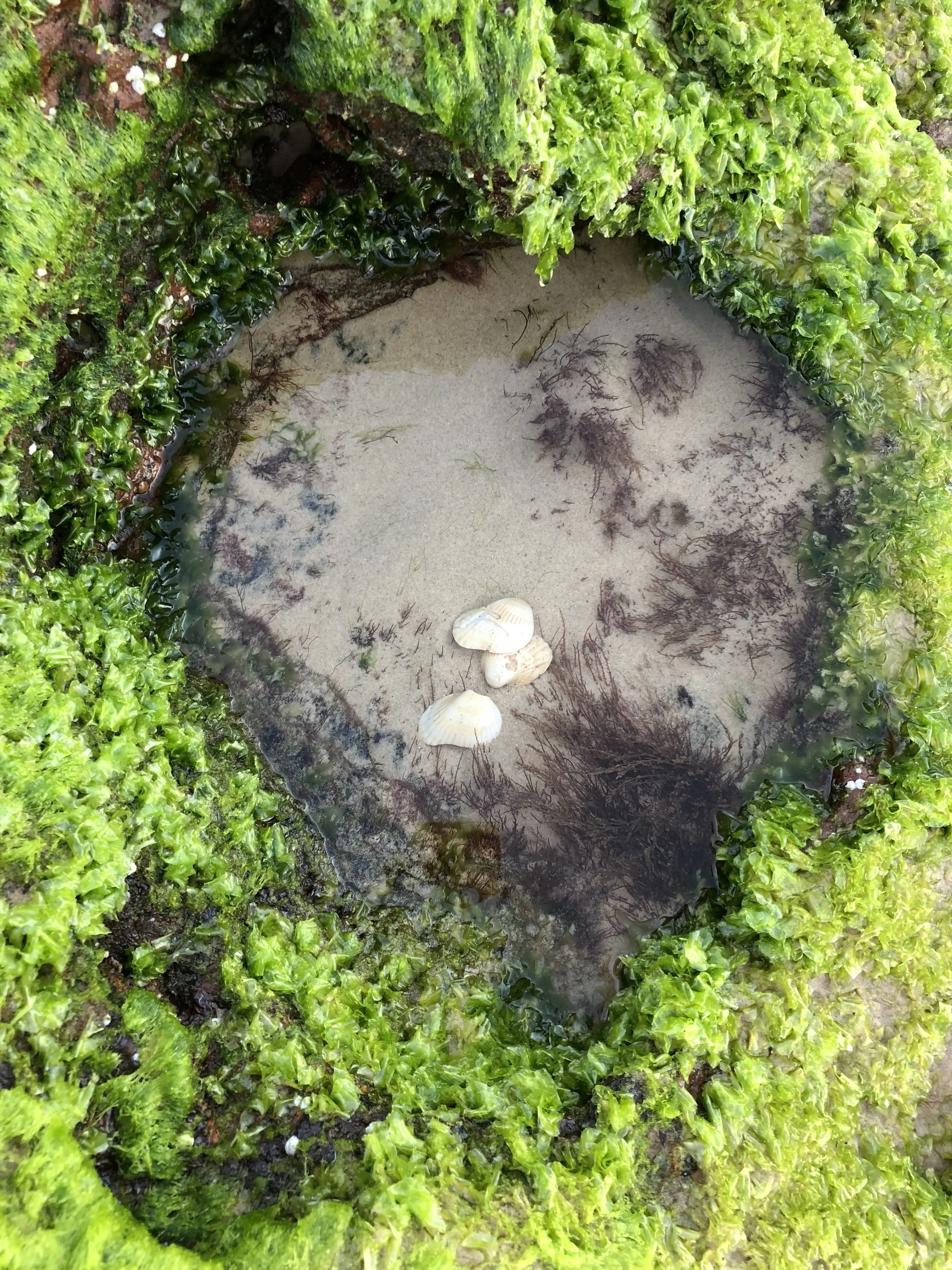 What is Borderline Personality Disorder?