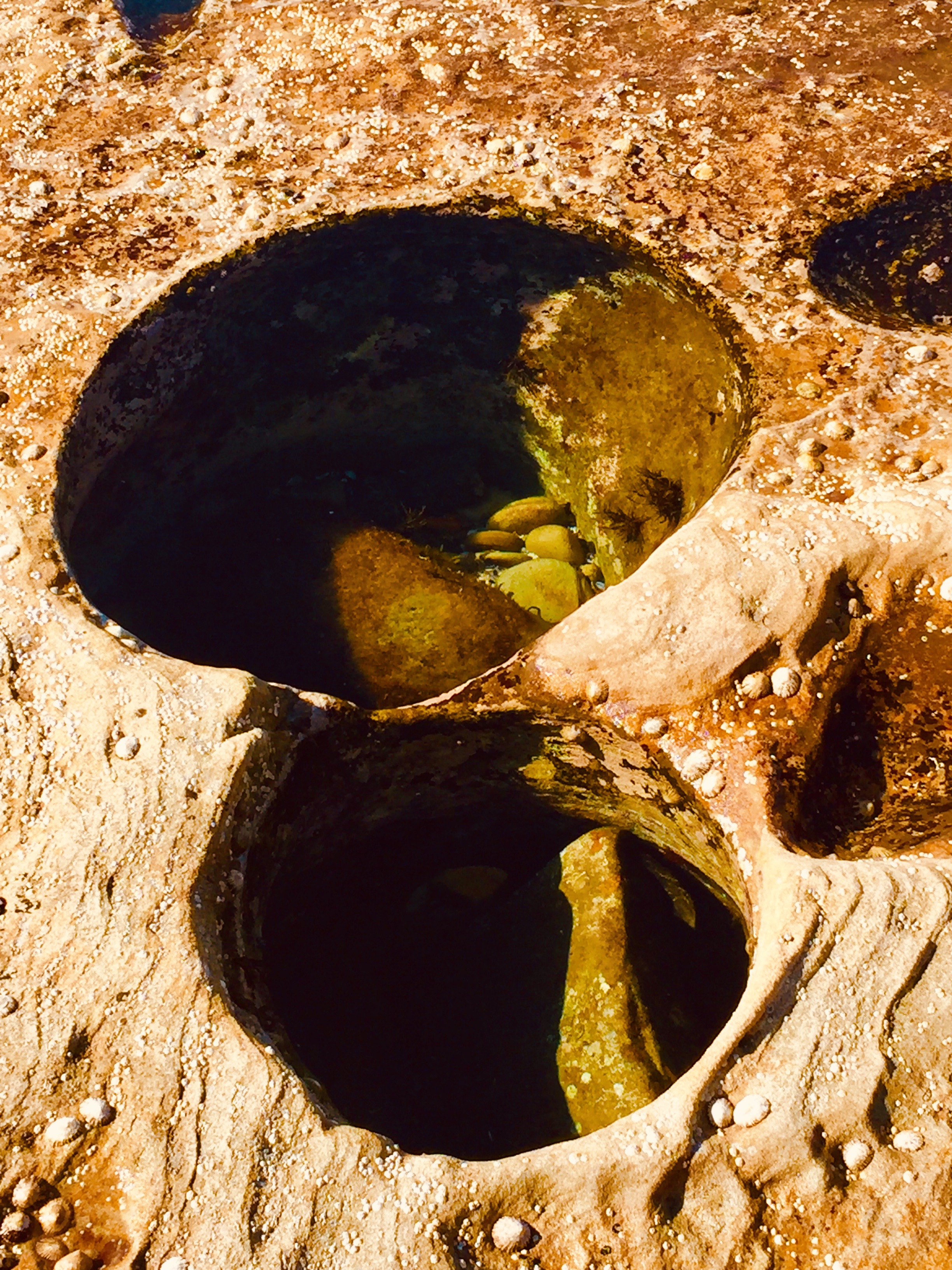 7 techniques to help when someone close has Borderline