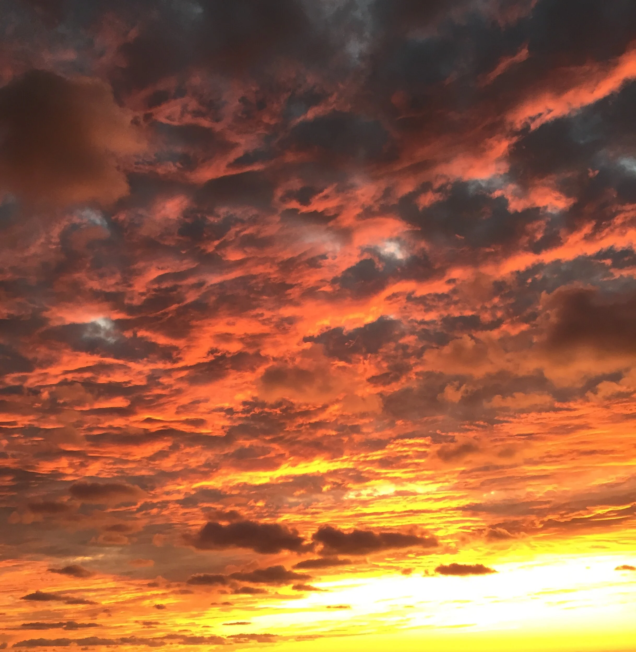 The Science of Gratitude (Part One)