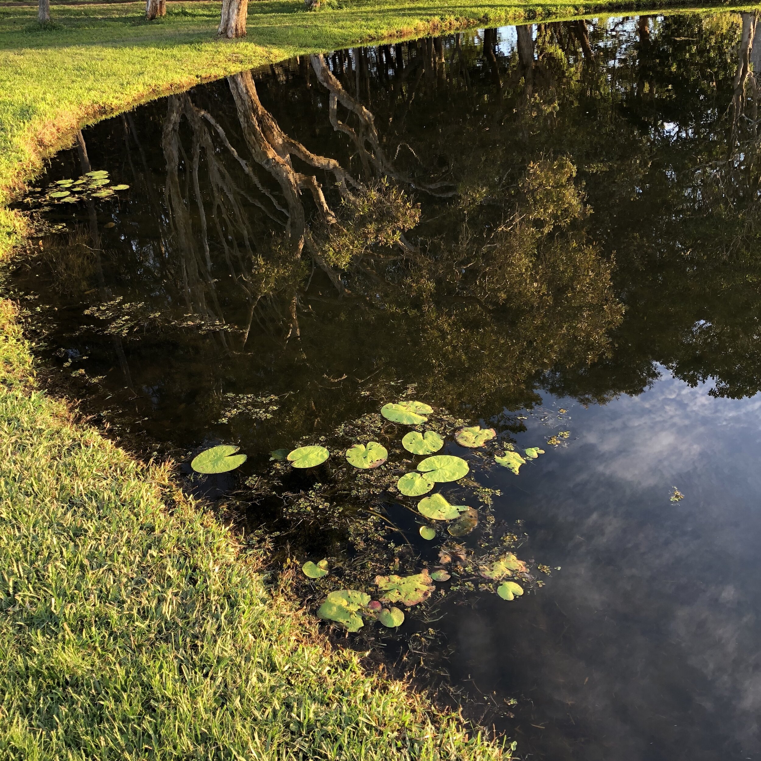 Self-isolation and Loneliness