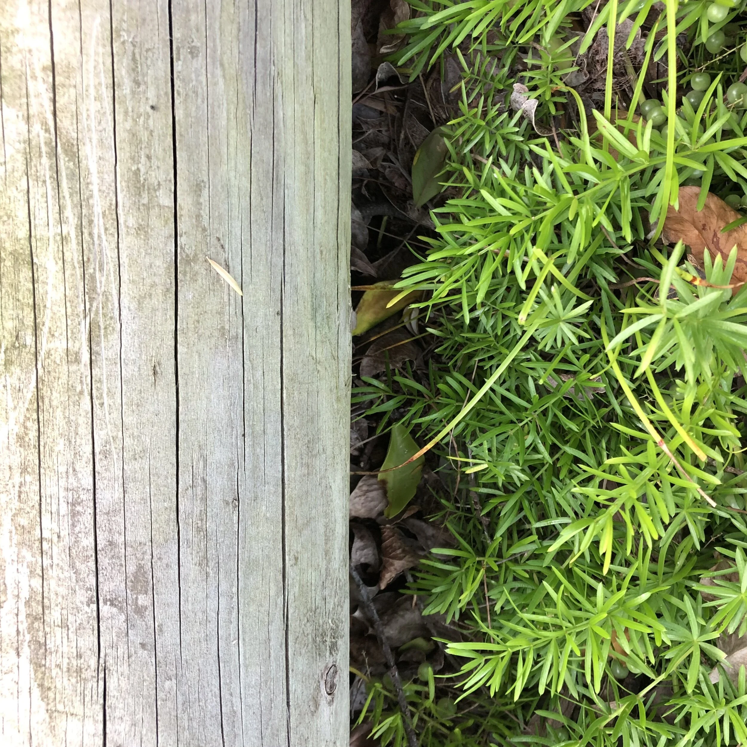 Value clashes in our society