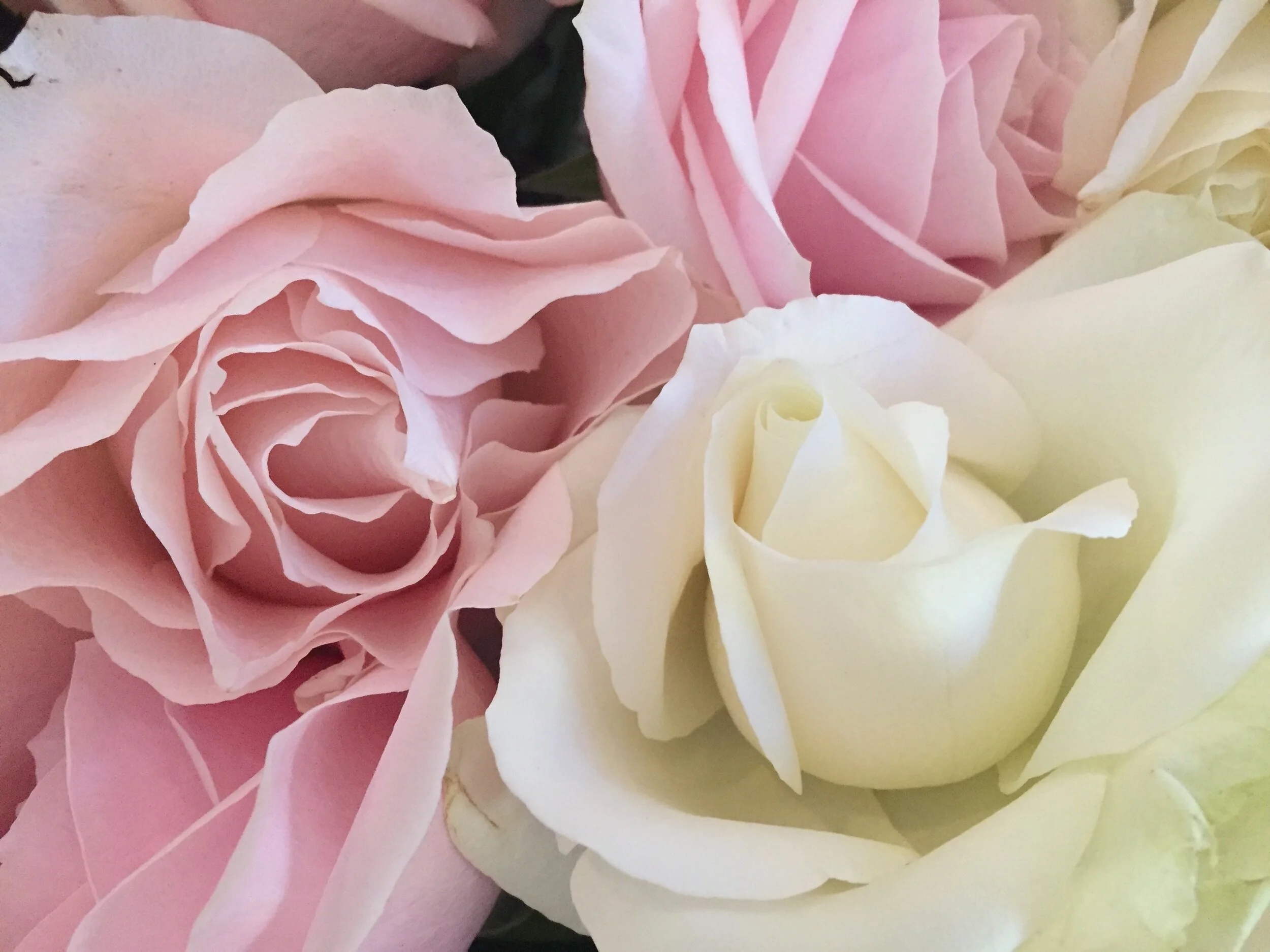 3 Reasons Self-Love is so Difficult