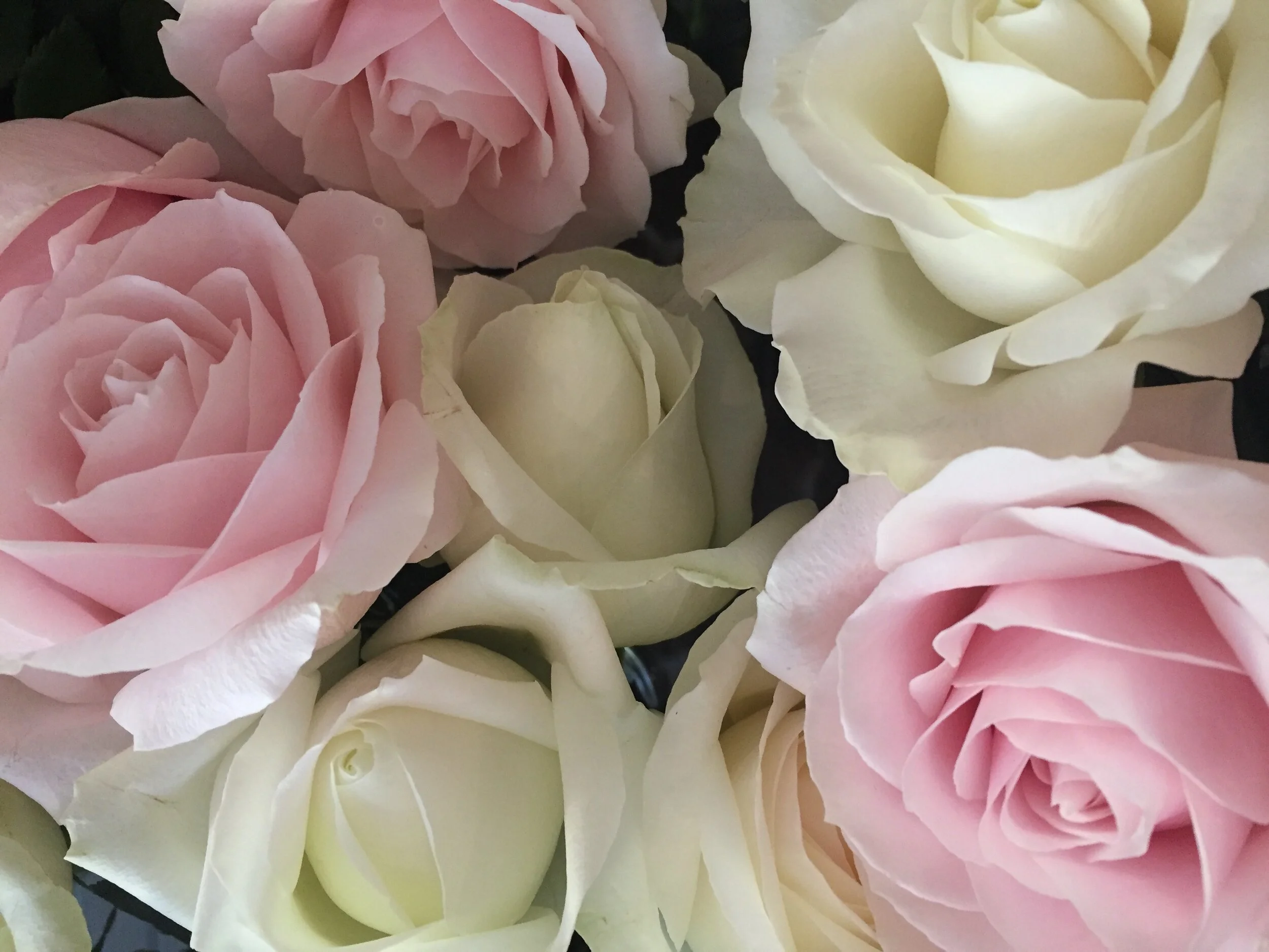 Self-Compassion vs Narcissism: What’s the difference?