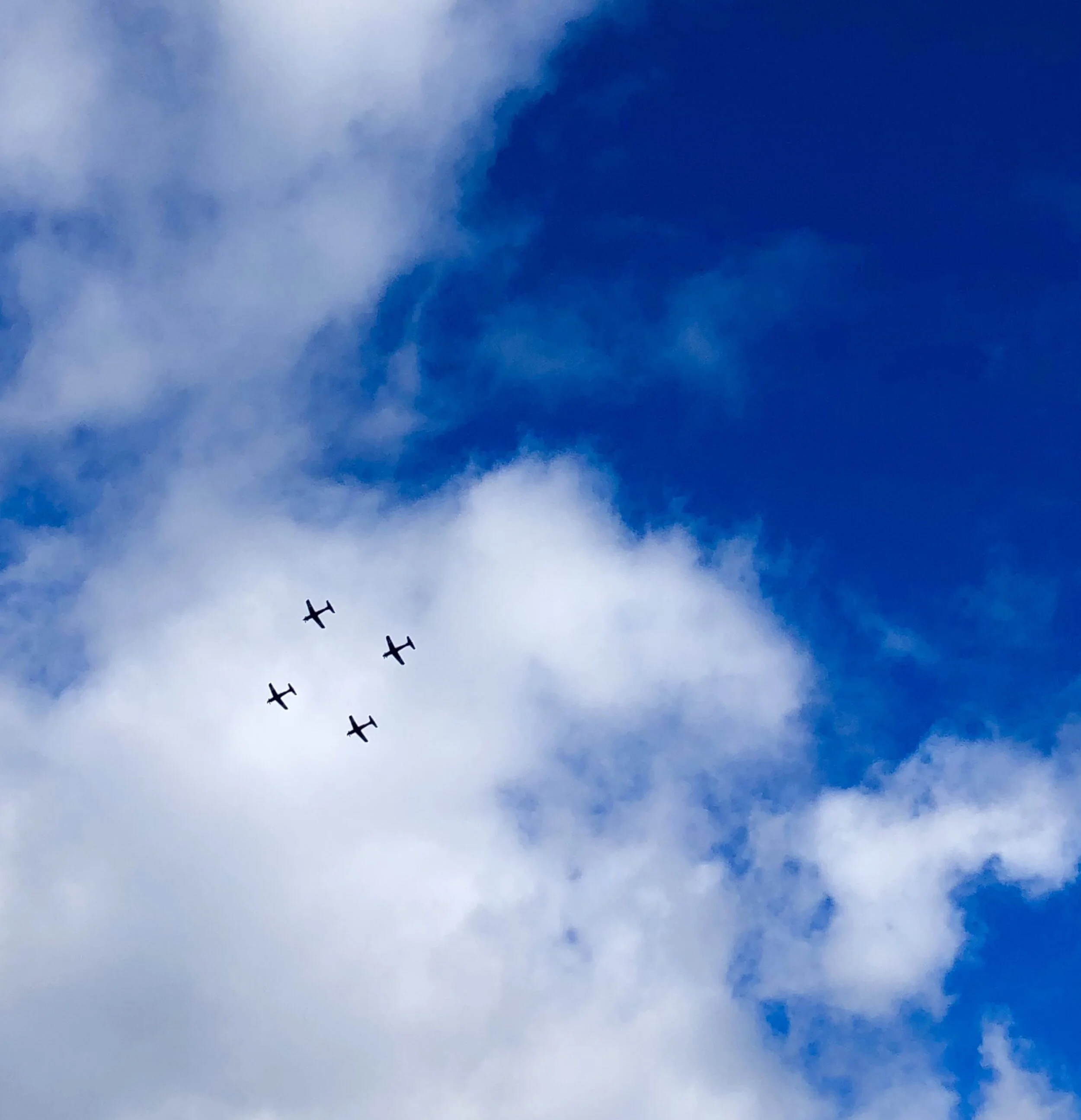 Belief in Science, Fact and Theory