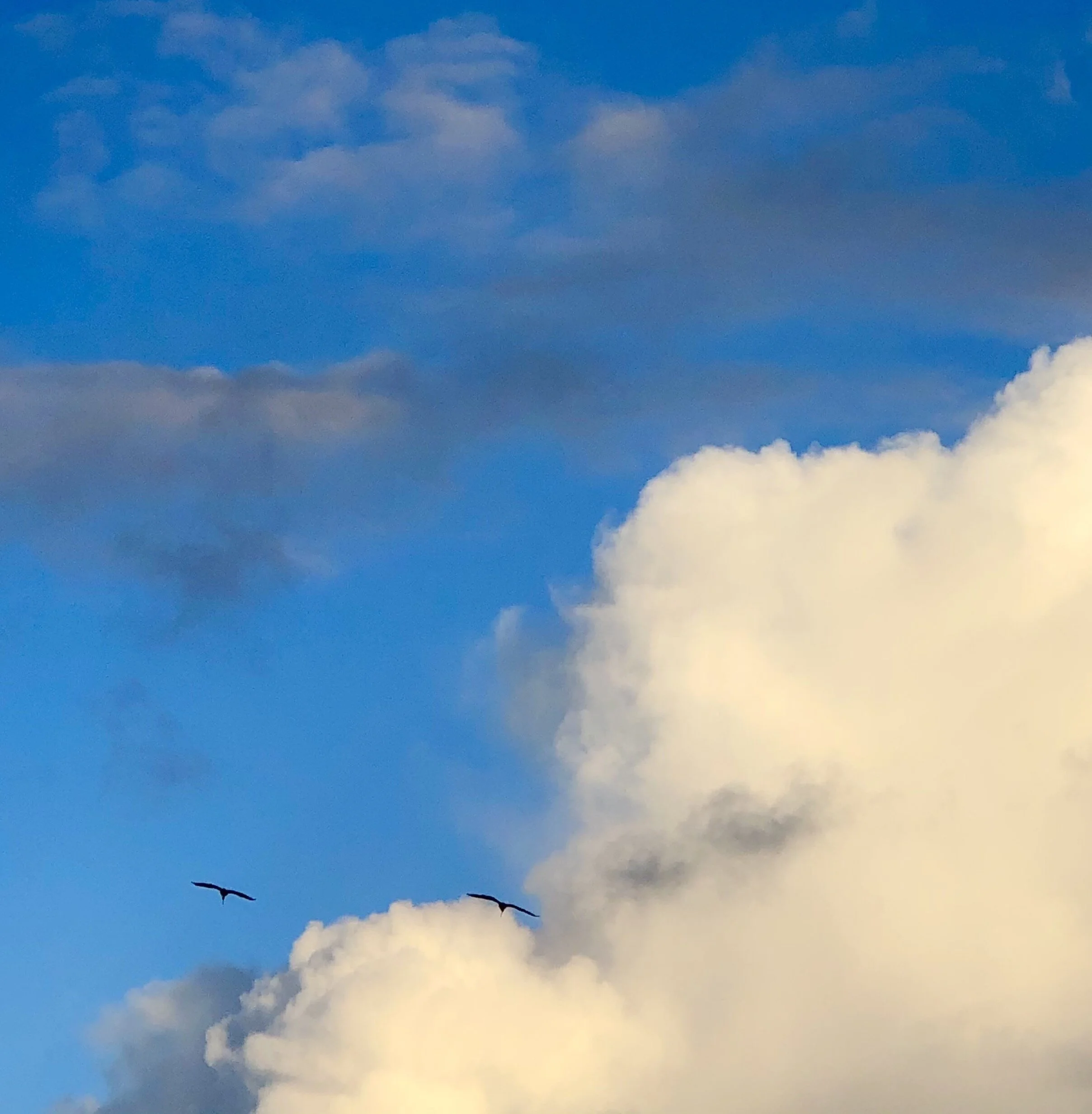 Change your Beliefs with Neuroplasticity