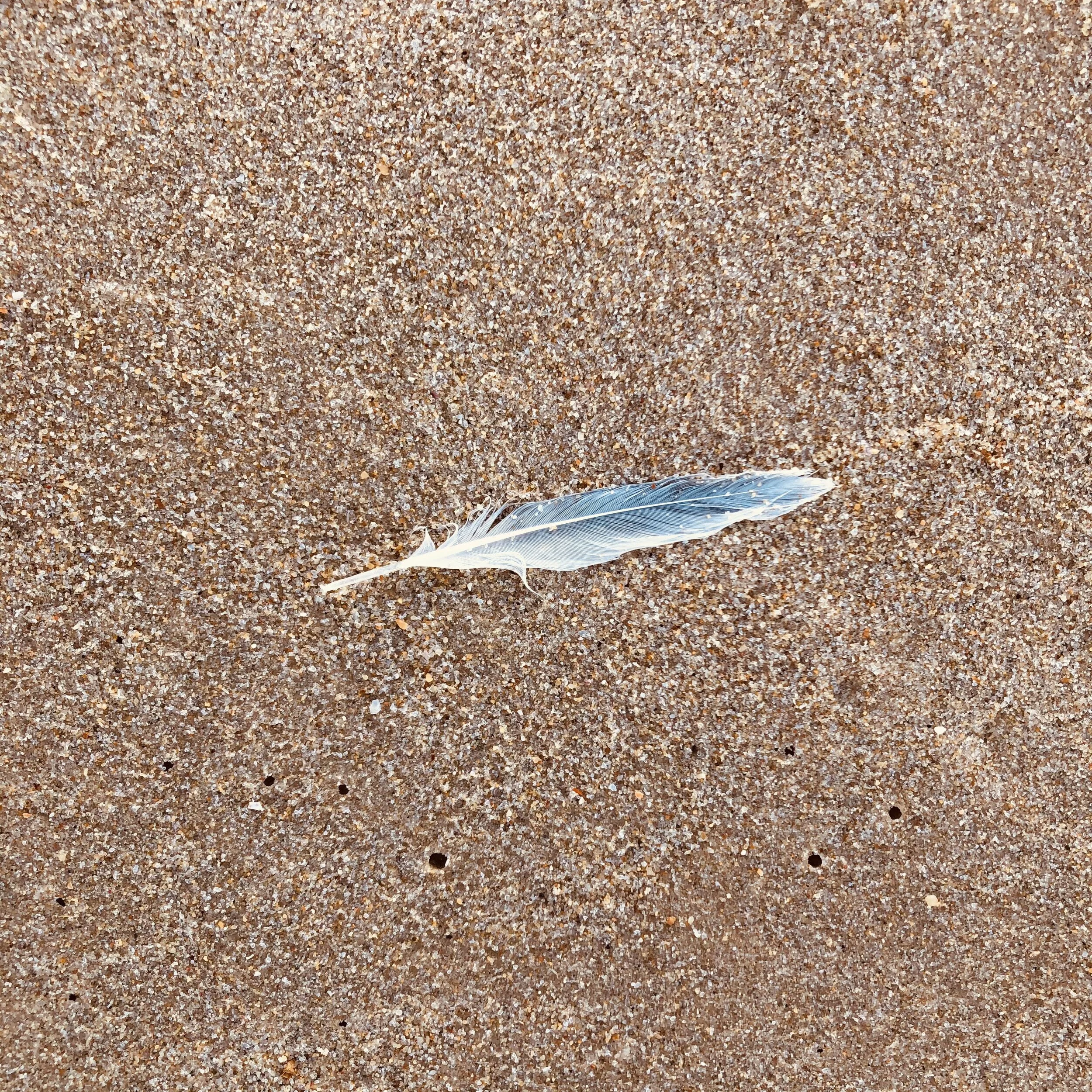 Mental Fitness Program: 5 minutes, 5 brain areas, 5 questions, 1 attitude