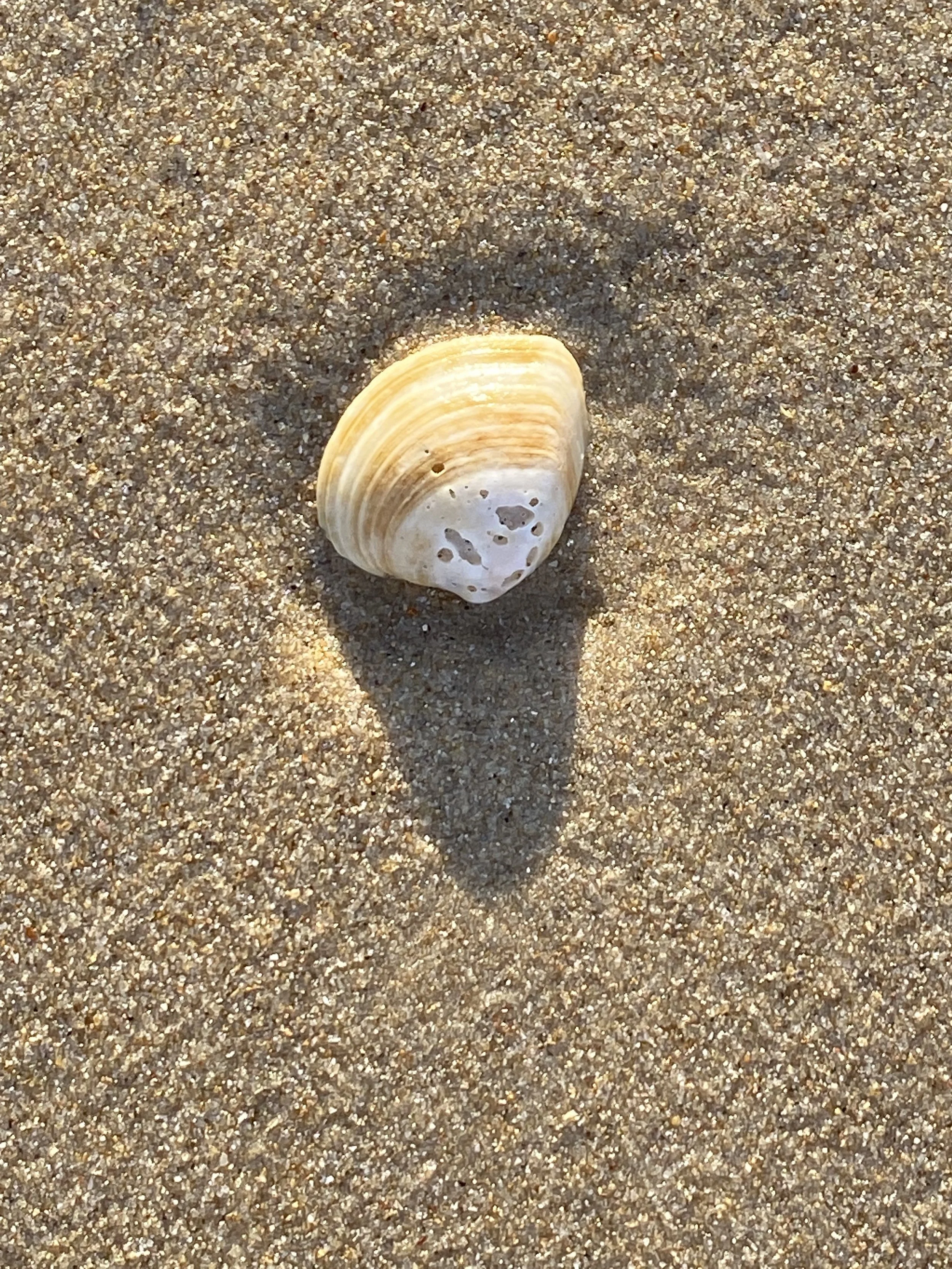 How do I come across? Morning Mental Fitness (5)