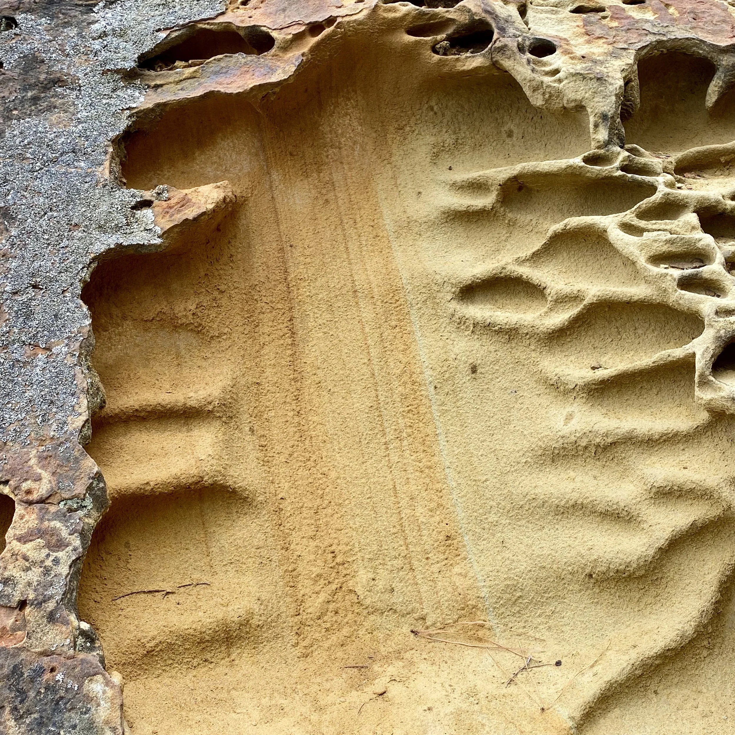 Intent and impact in the brain