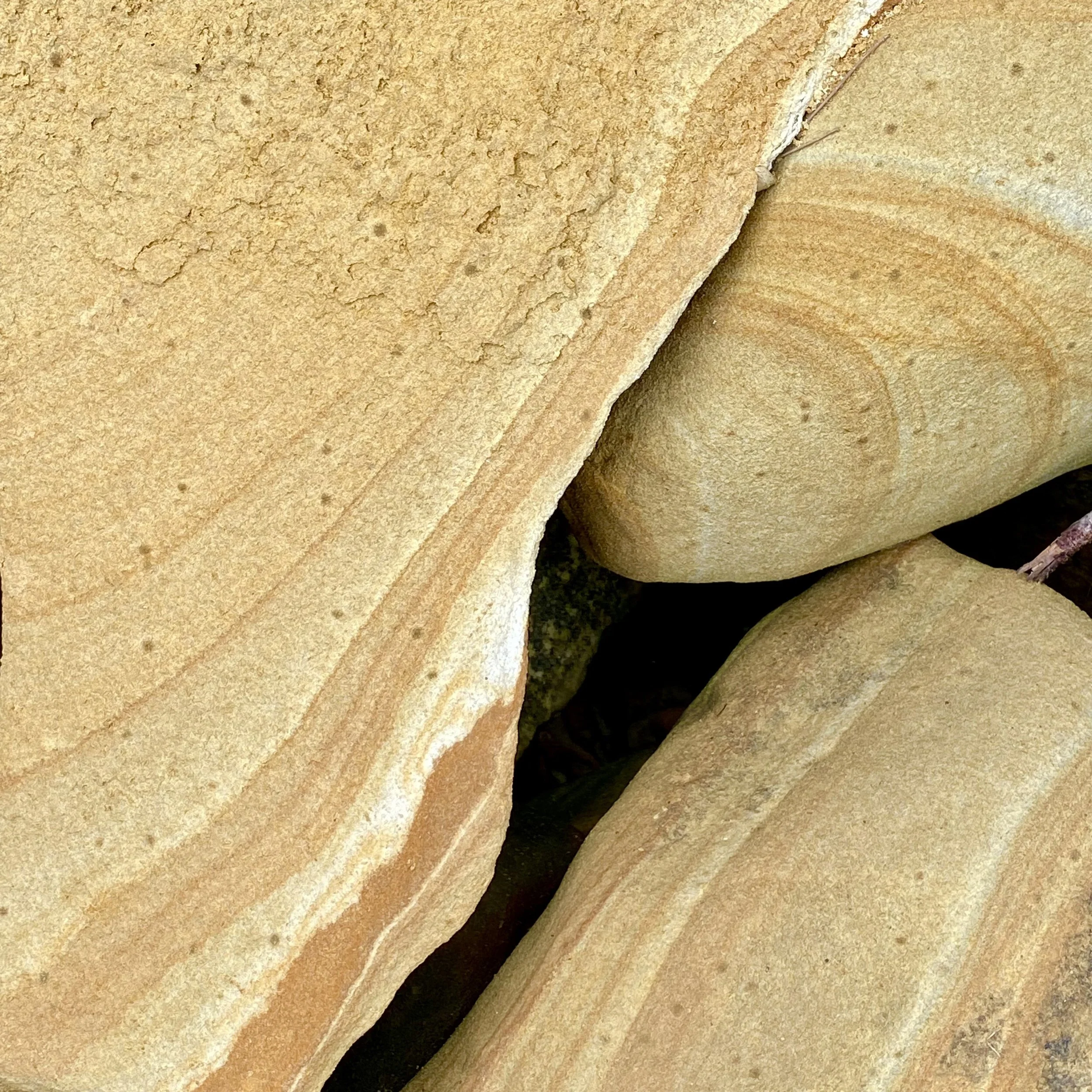 The Psychology of Intent, Impact and Trust