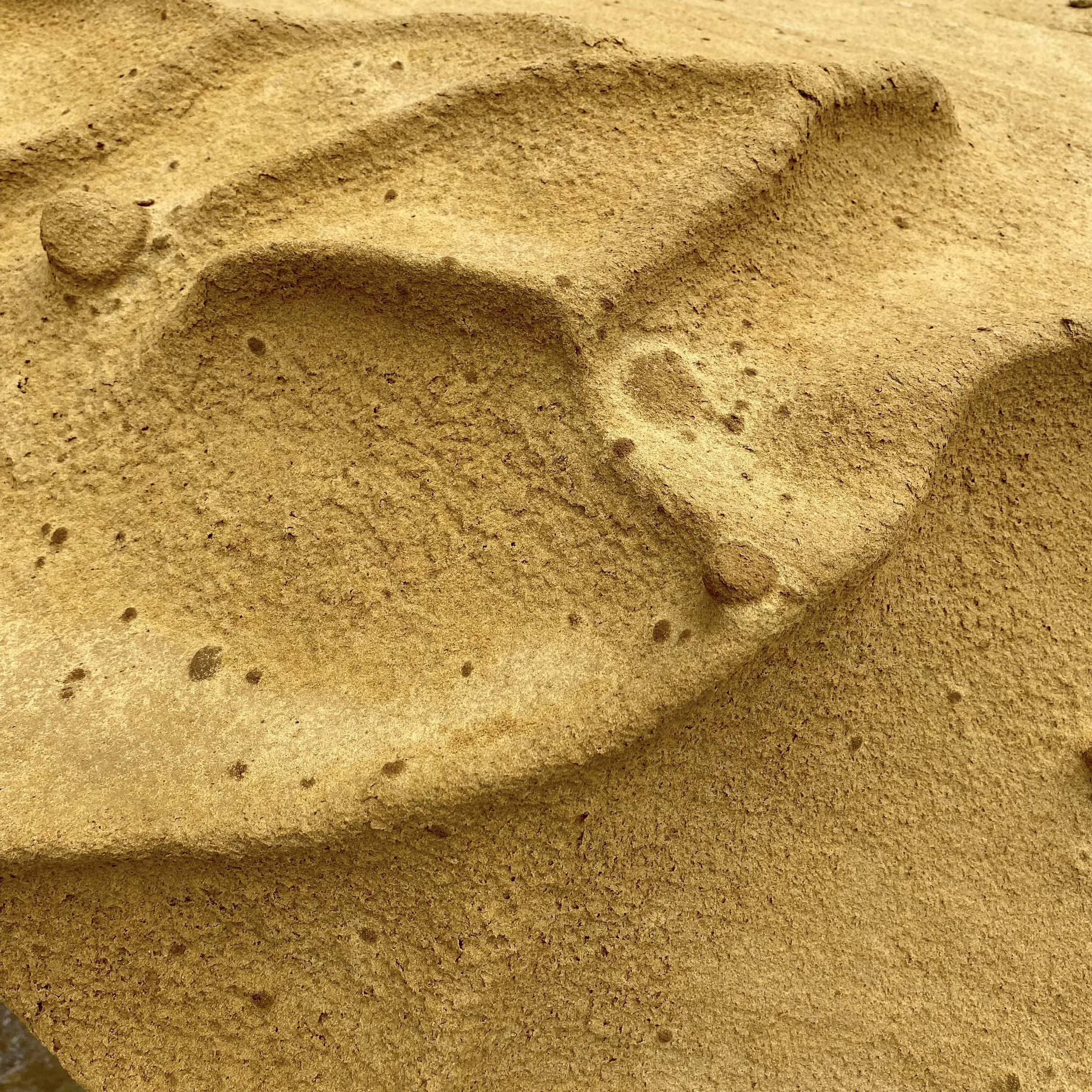 Personality and Culture, Impact and Intent