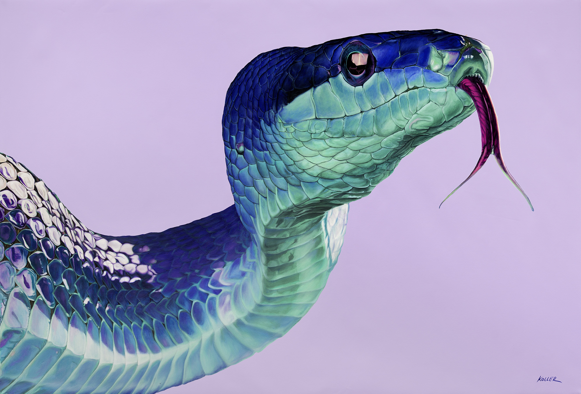 Helmut Koller, Snake on Light Violet