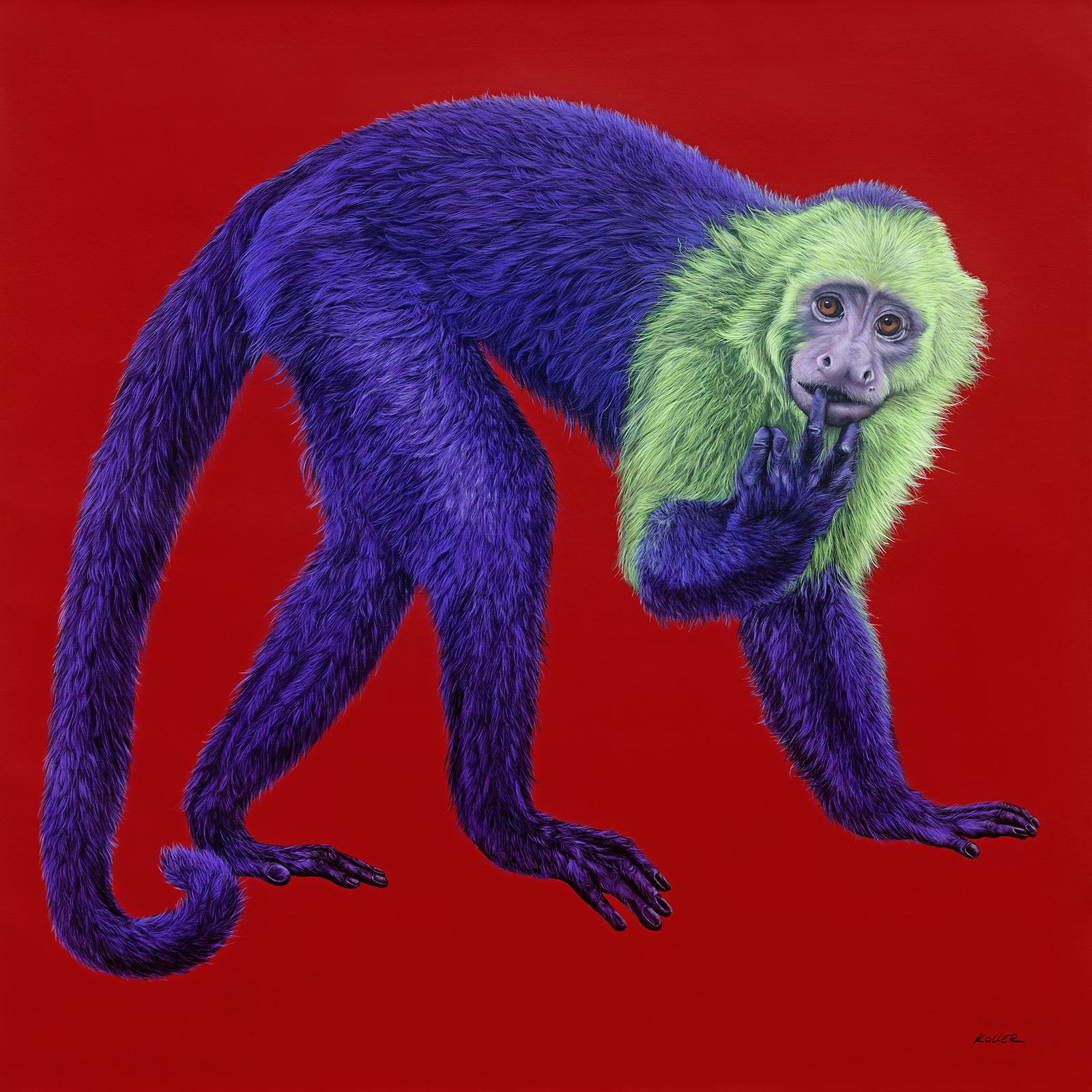 Helmut Koller, Purple Monkey on Red