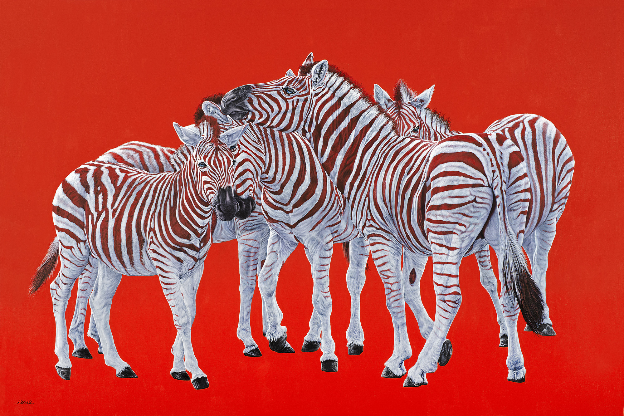Helmut Koller, Five Zebras on Red