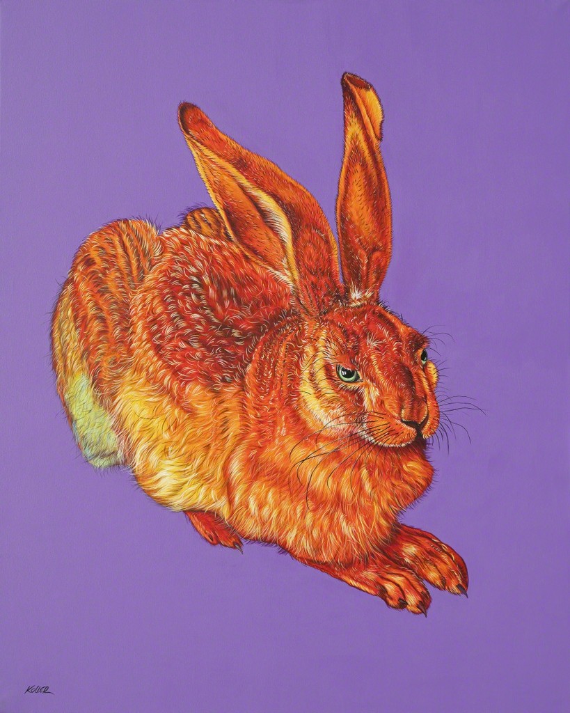 Helmut Koller, Dürer Hare in Orange