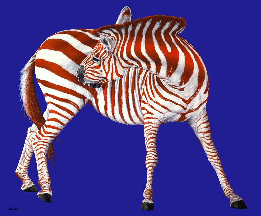 Helmut Koller, Zebra in Red &amp; White on Blue
