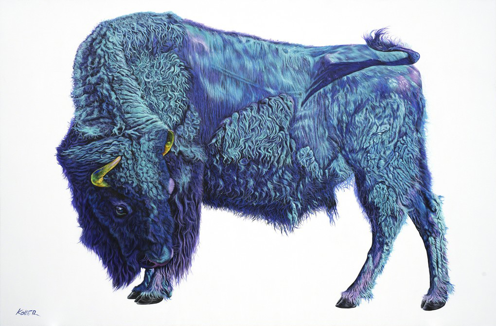 Helmut Koller, Bison On White