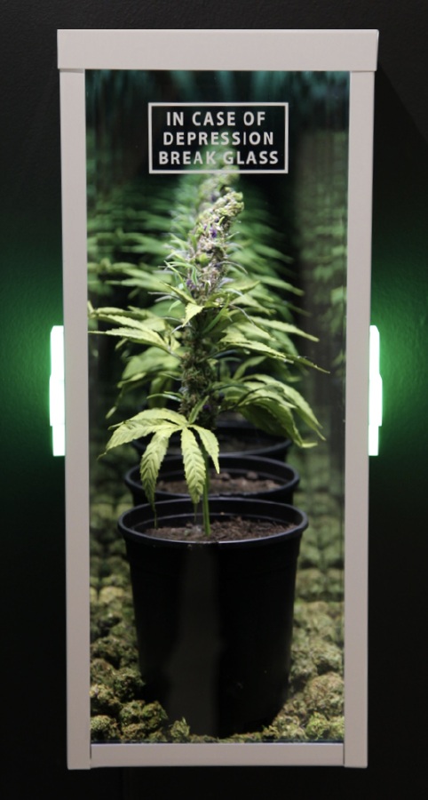 ZMK, In Case of Depression, 2018, Powder Coated Steel Case, Hand Made Weed Plant, Lights, 24 x 9.8 x 7 inches