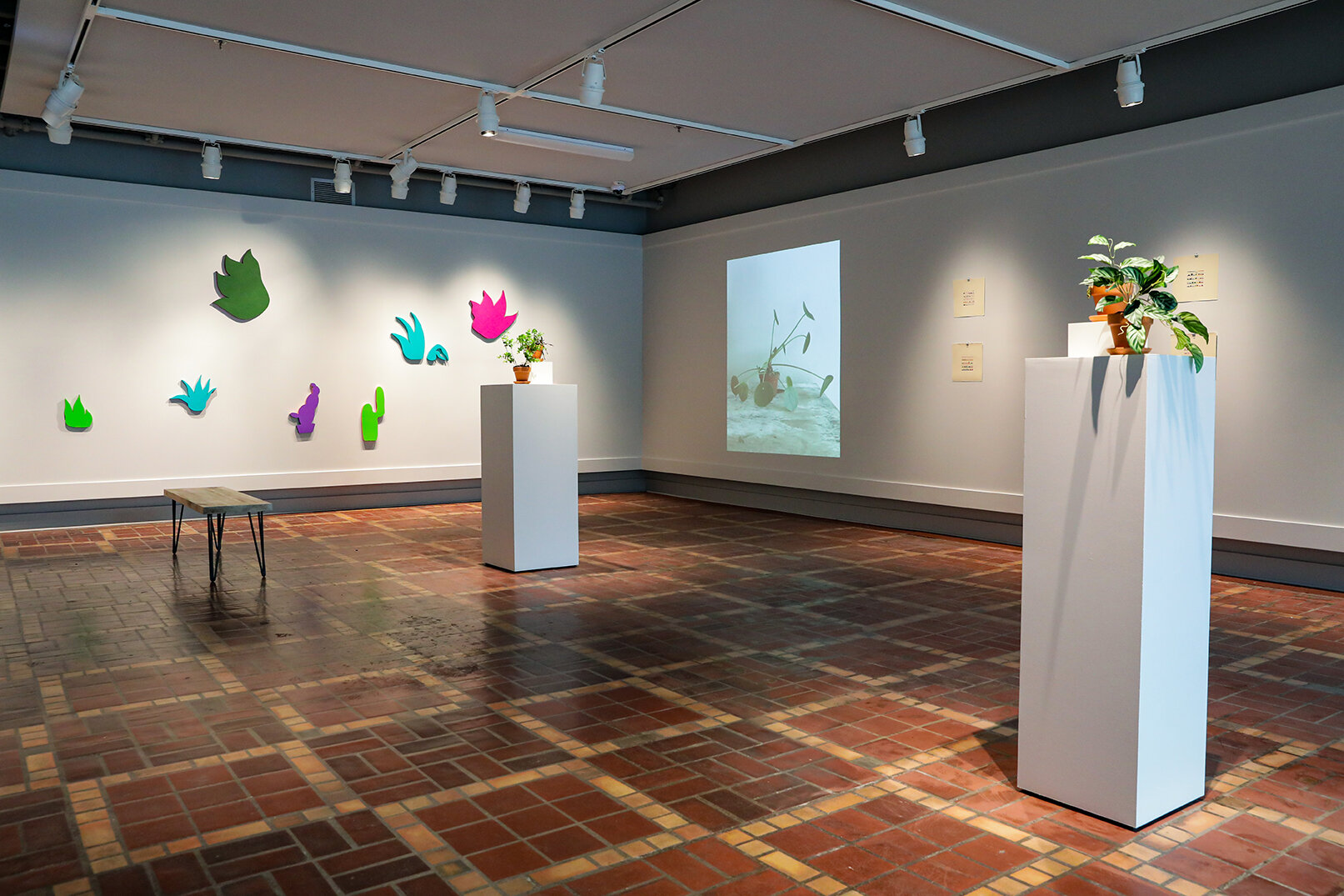 Ryna Frankel Exhibit's