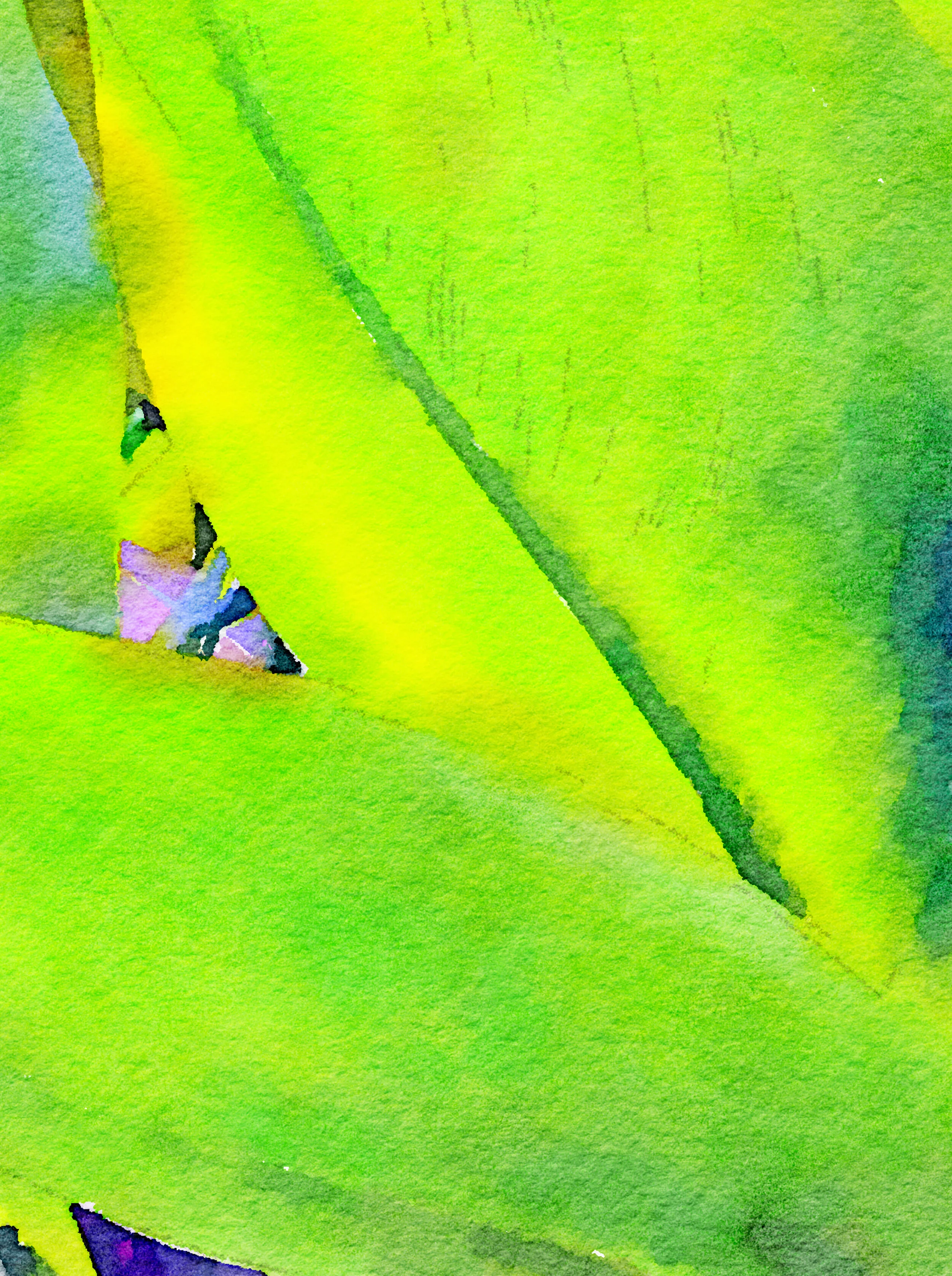 Banana Leaves No. 1.jpg