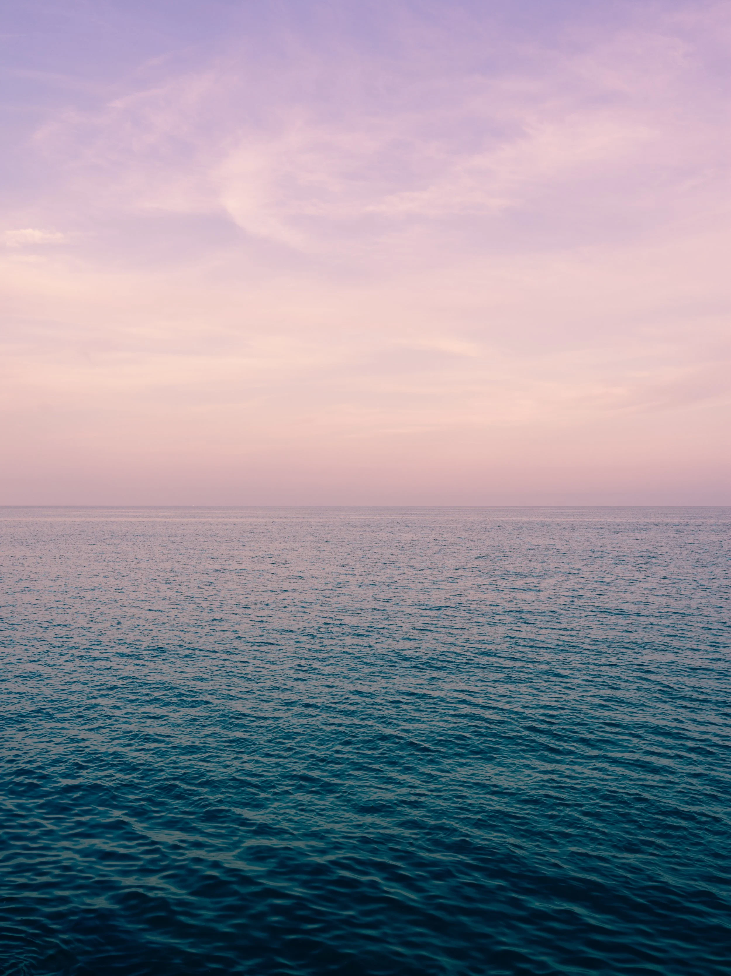 One-On-One Book Mentorship Program