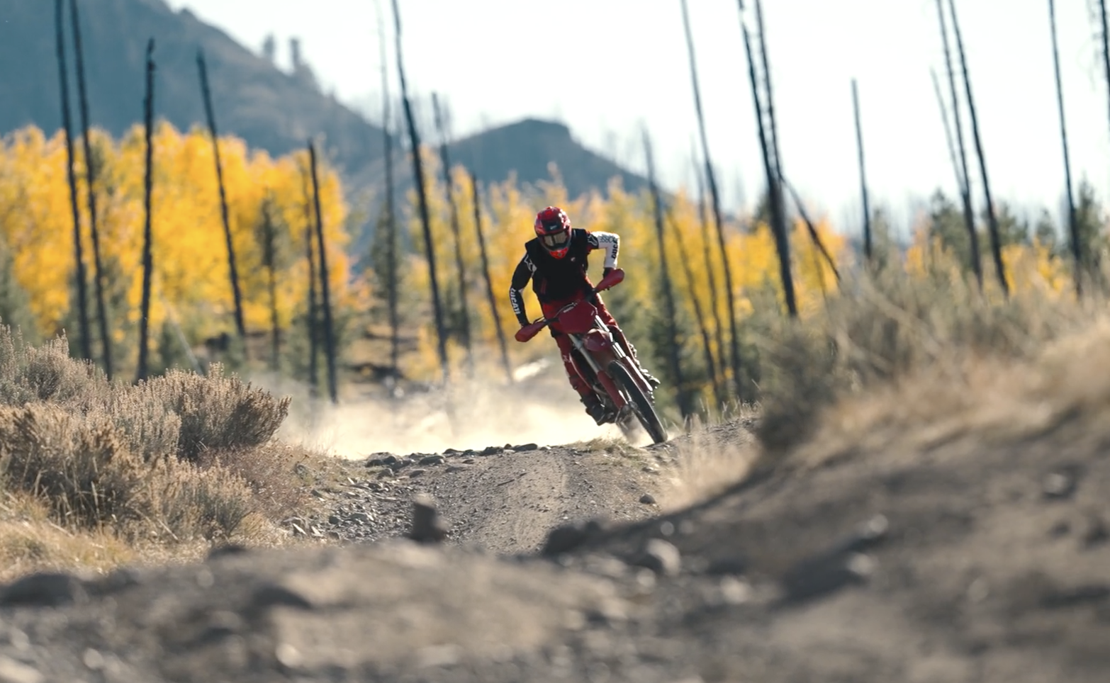 Screenshot 2025-12-31 at 10.56.34 AM.png