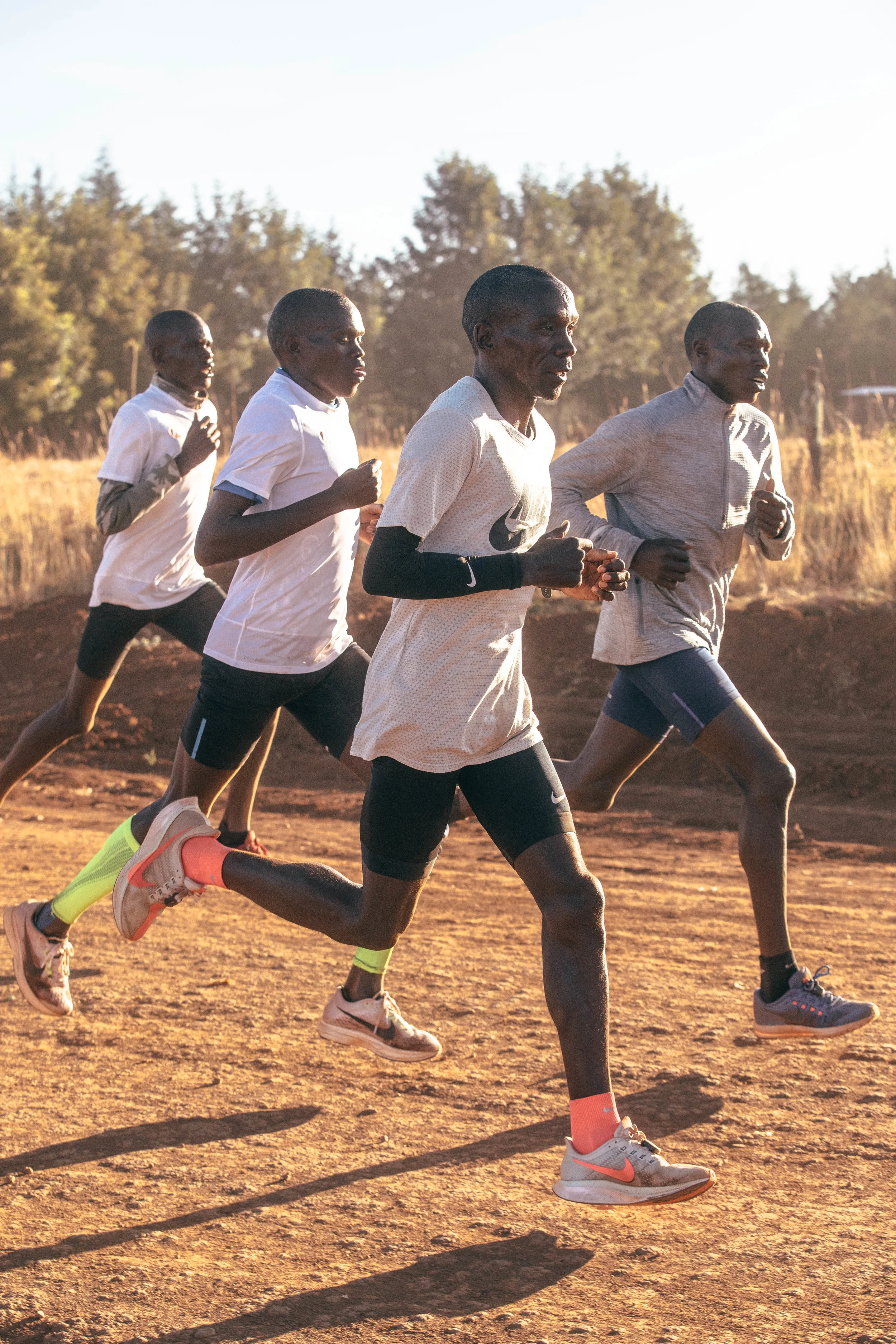 Pegasus_Turbo_2 copy.jpg