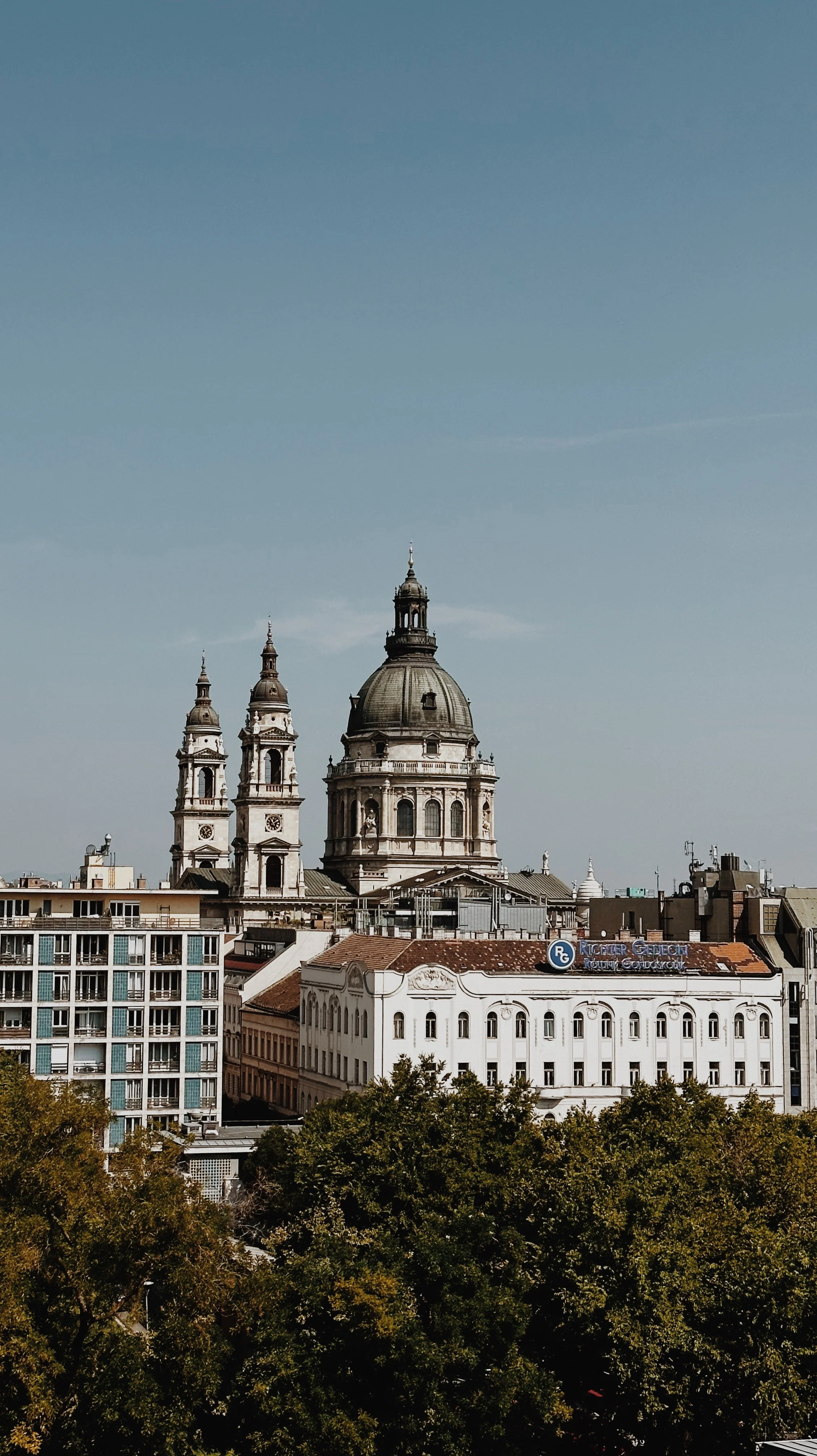 9D147932-A4BA-4643-ADCF-F9F7113BED33 2.JPG