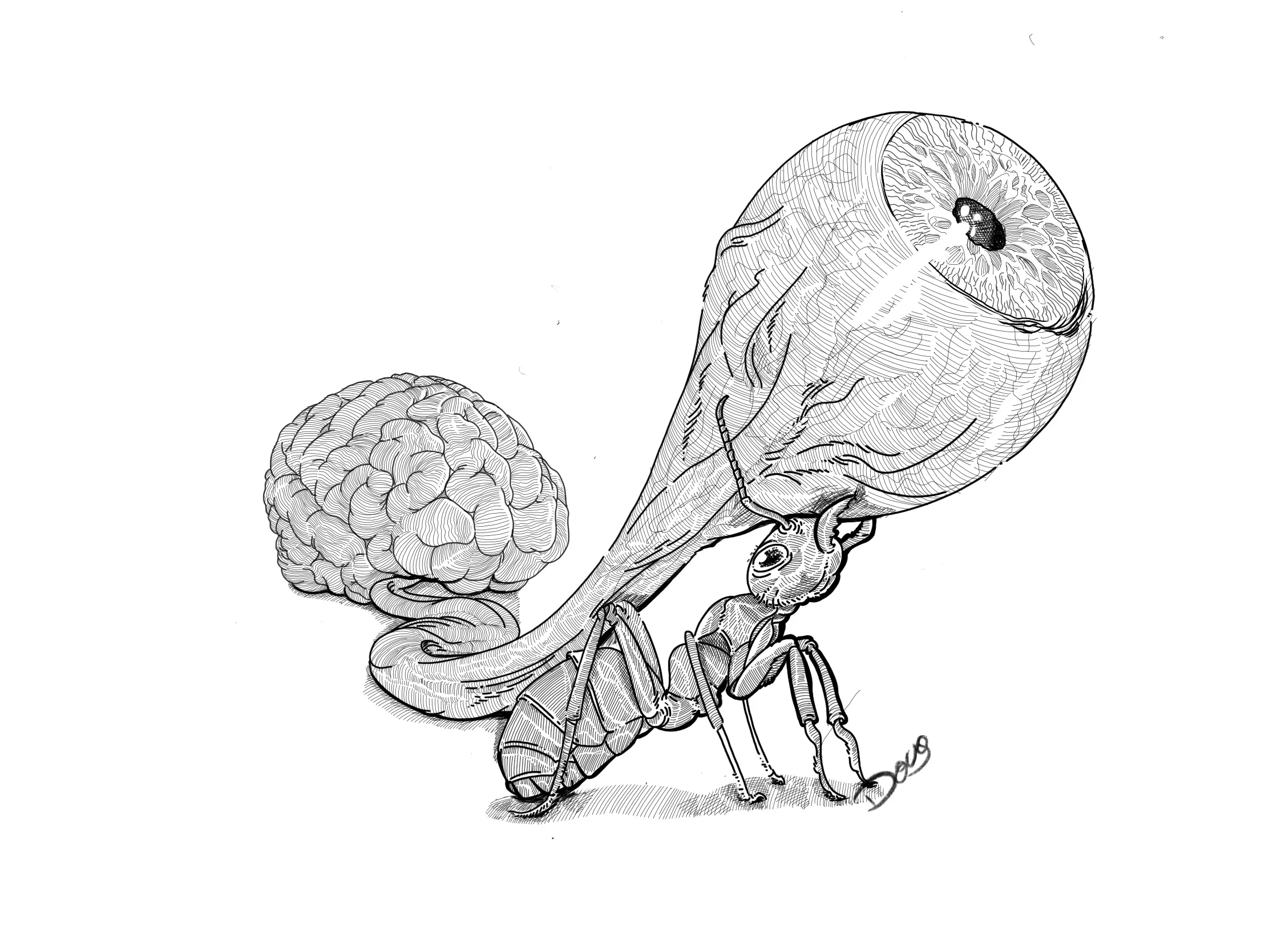 Ilustração_Sem_Título 3.jpg