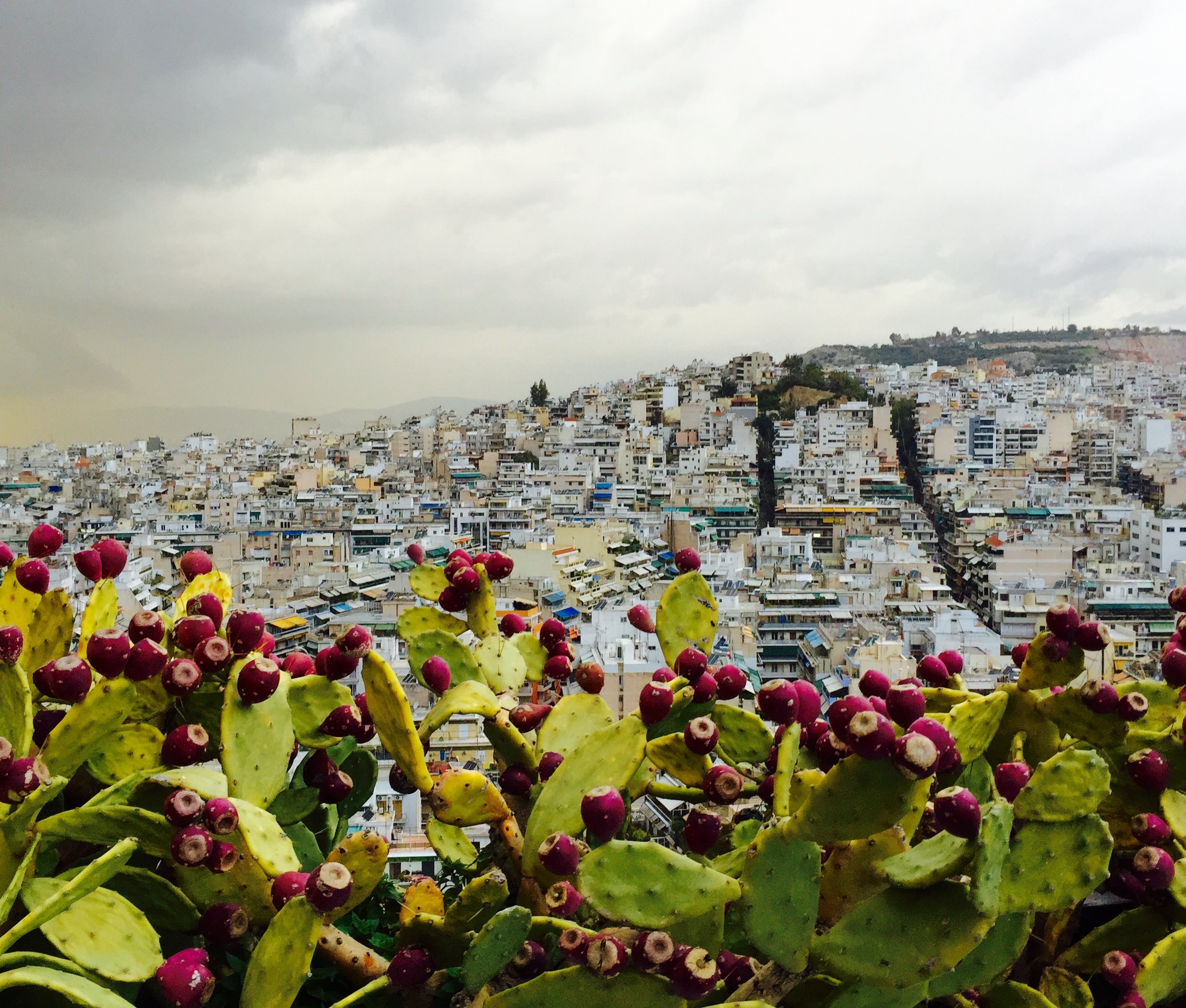 athens cityscape2streetsinbackground.jpg