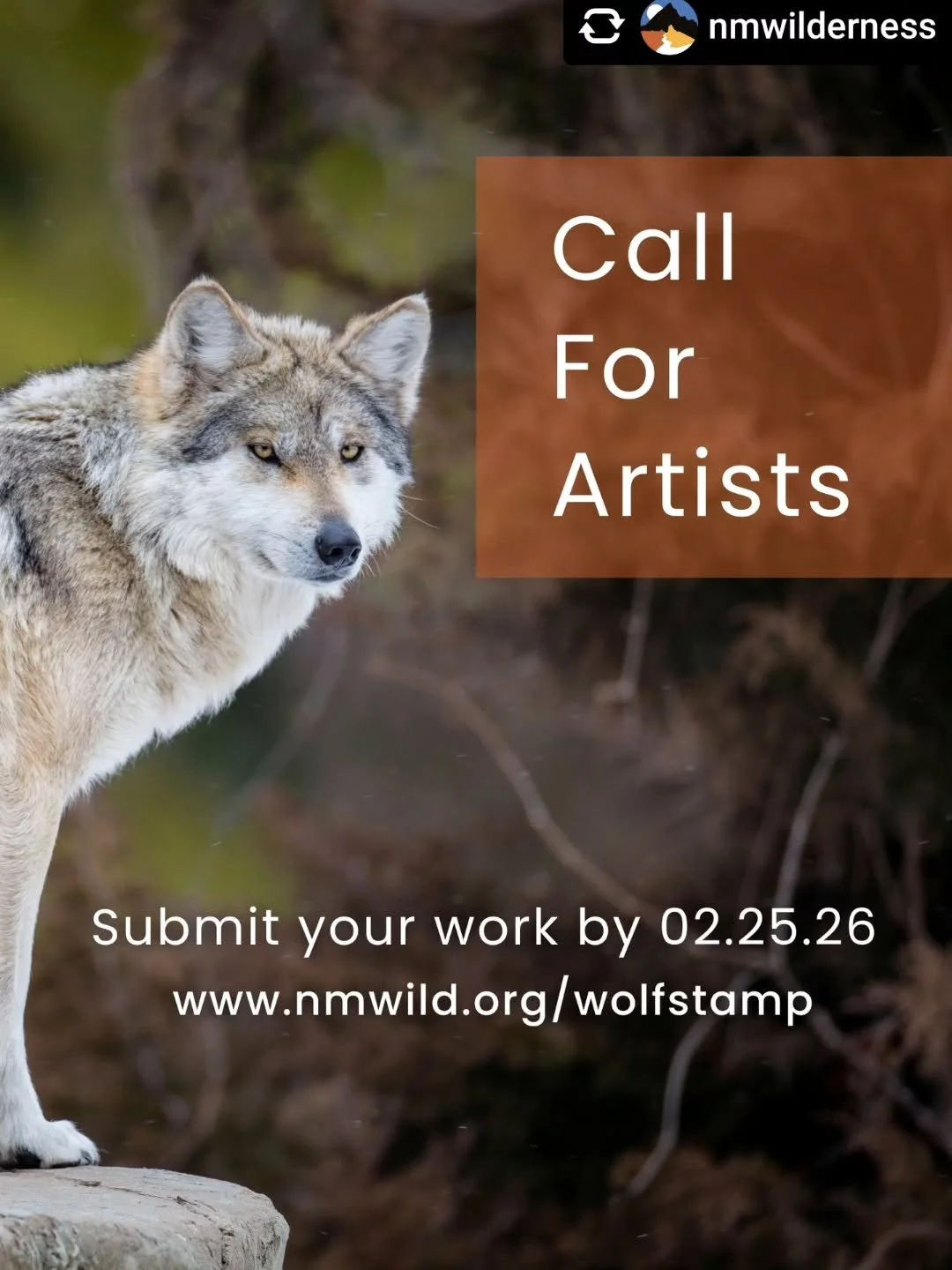 Repost &bull; @nmwilderness 🎨 Calling All Artists! 🐺

Unleash your creativity and help save the Lobo! New Mexico Wild proudly presents our Annual Wolf Stamp Contest, a chance for artists of all ages to support Mexican gray wolf recovery in New Mexi