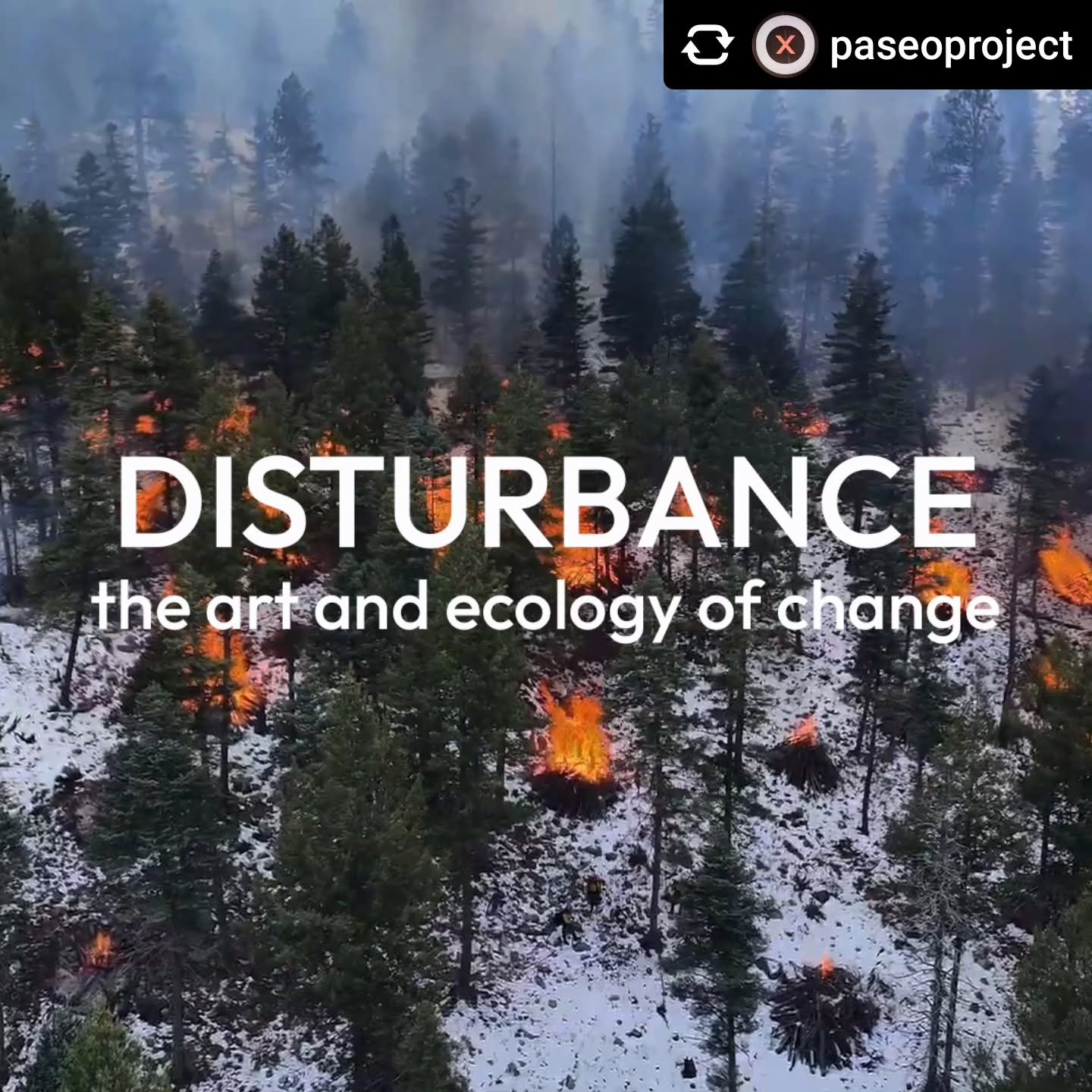 Repost &bull; @paseoproject Call for Artists:

The Paseo Project &amp; Del Fuego @del_fuego_project invite local, regional, national, and international artists and creatives to apply for &ldquo;Disturbance: The Art &amp; Ecology of Change,&rdquo; a 2