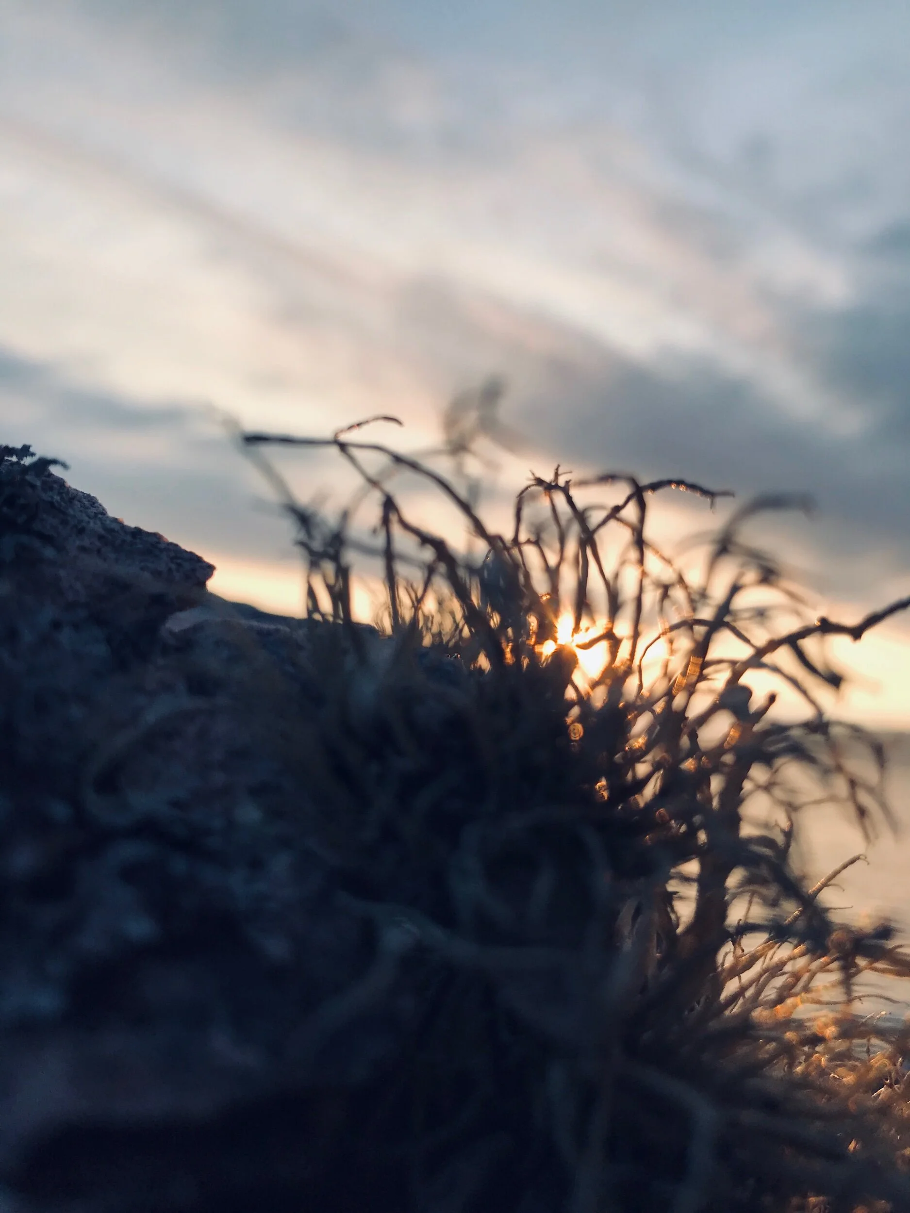 “Meta-Yarns” in Education: Past - Present - Future