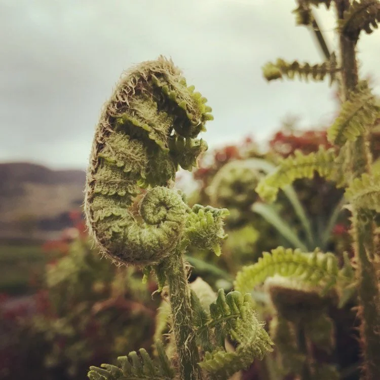 Making Worlds

&ldquo;Making knowledge is not simply about making facts but about making worlds&hellip; in the sense of materiality engaging as part of the world in giving it specific material form.&rdquo; Karen Barad

#makingworlds #karenbarad #maki