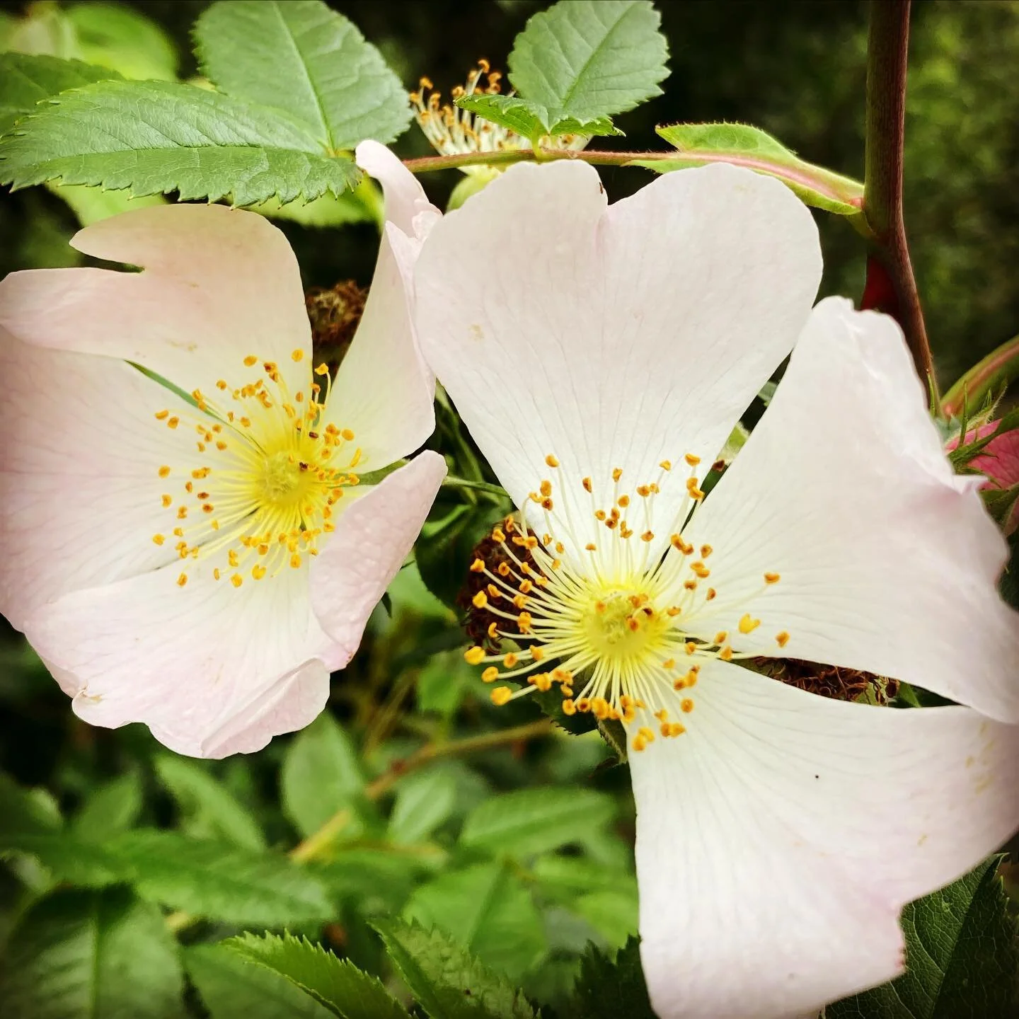 Storytelling Matters

&ldquo;It matters what matters we use to think other matters with; it matters what stories we tell to tell other stories with; it matters what knots knot knots, what thoughts think thoughts, what descriptions describe descriptio