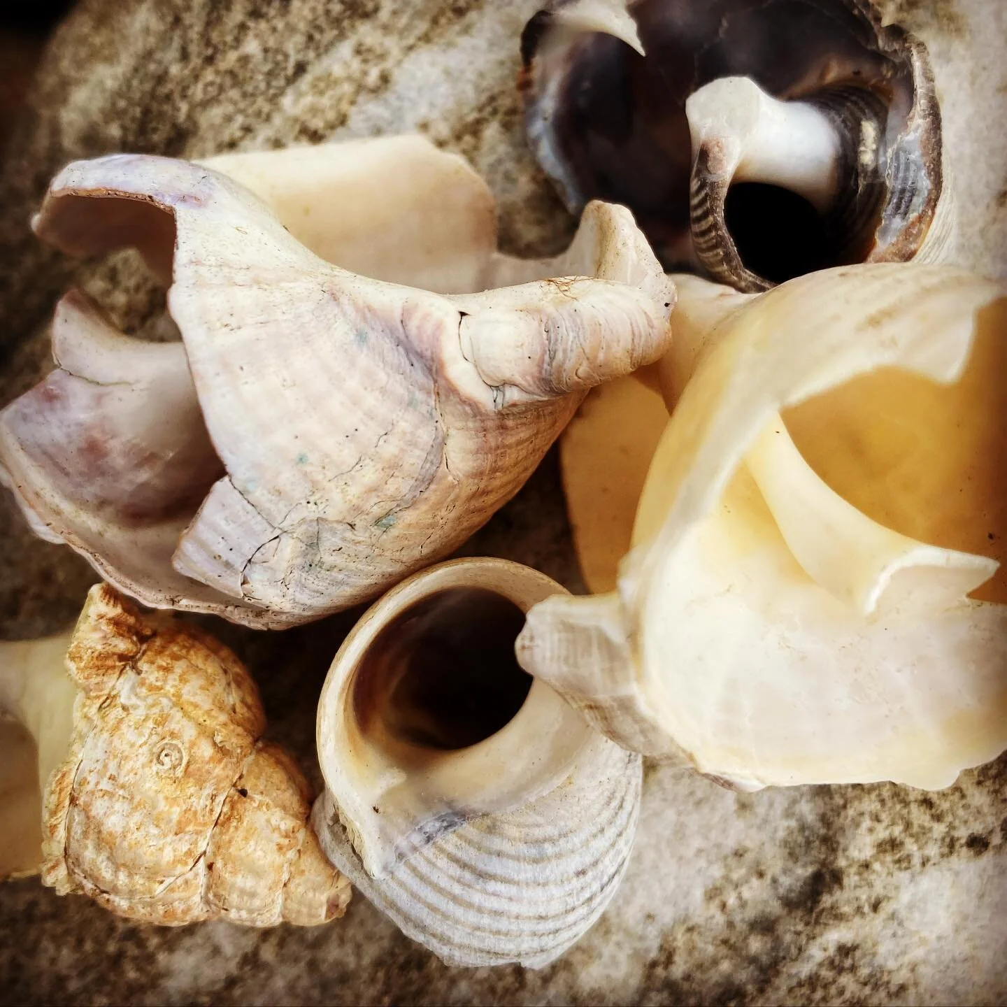 Wounds &amp; Grieving

&ldquo;Joanna Macy writes that until we can grieve for our planet we cannot love it&mdash;grieving is a sign of spiritual health. But it is not enough to weep for our lost landscapes; we have to put our hands in the earth to ma