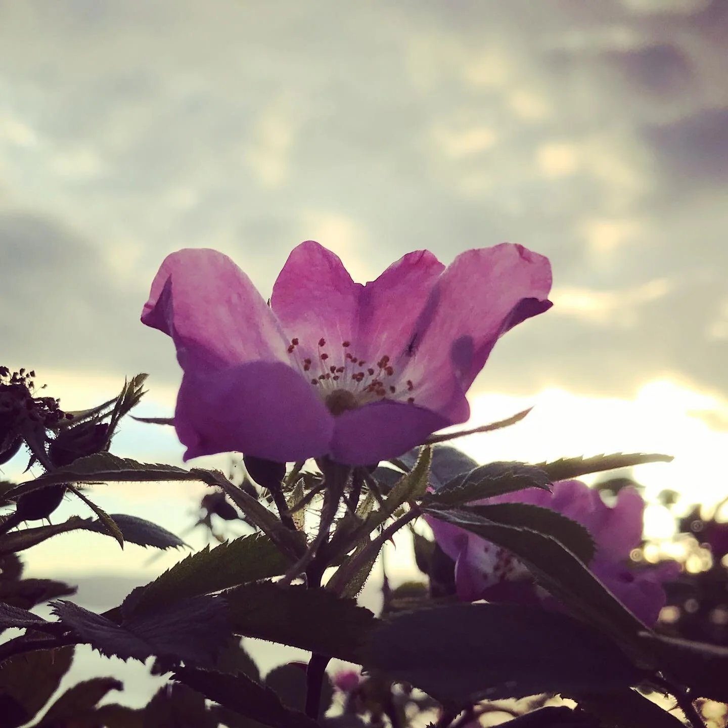 Time and Worlds

&ldquo;Time itself shall shortly cease, the sun look dim with age and nature sink in years, but thy soul shall still remain unhurt amidst the war of elements the wreck of matter and the crush of worlds.&rdquo; Mary Myams&rsquo; dedic